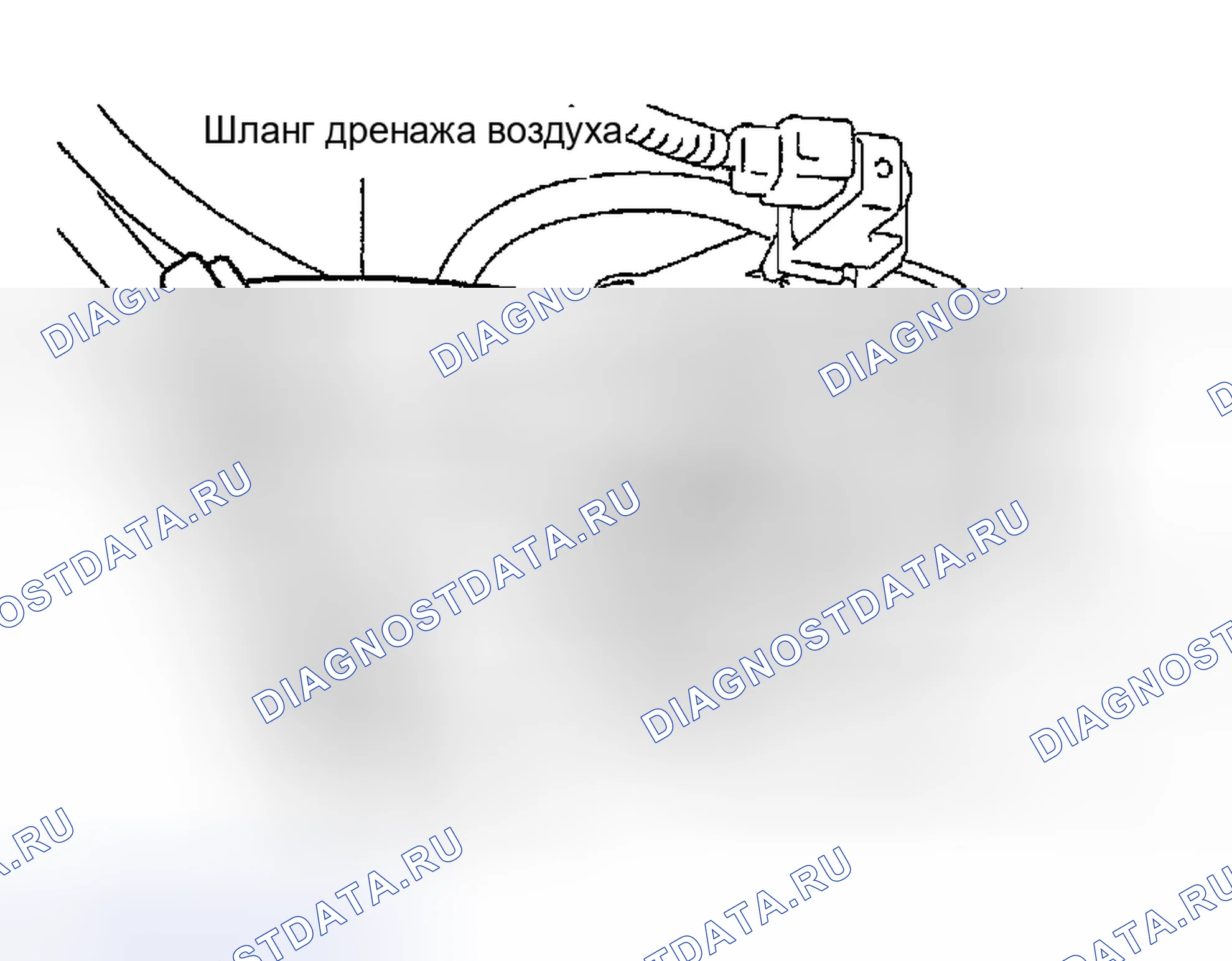 Рис. 28. Toyota Sequoia I