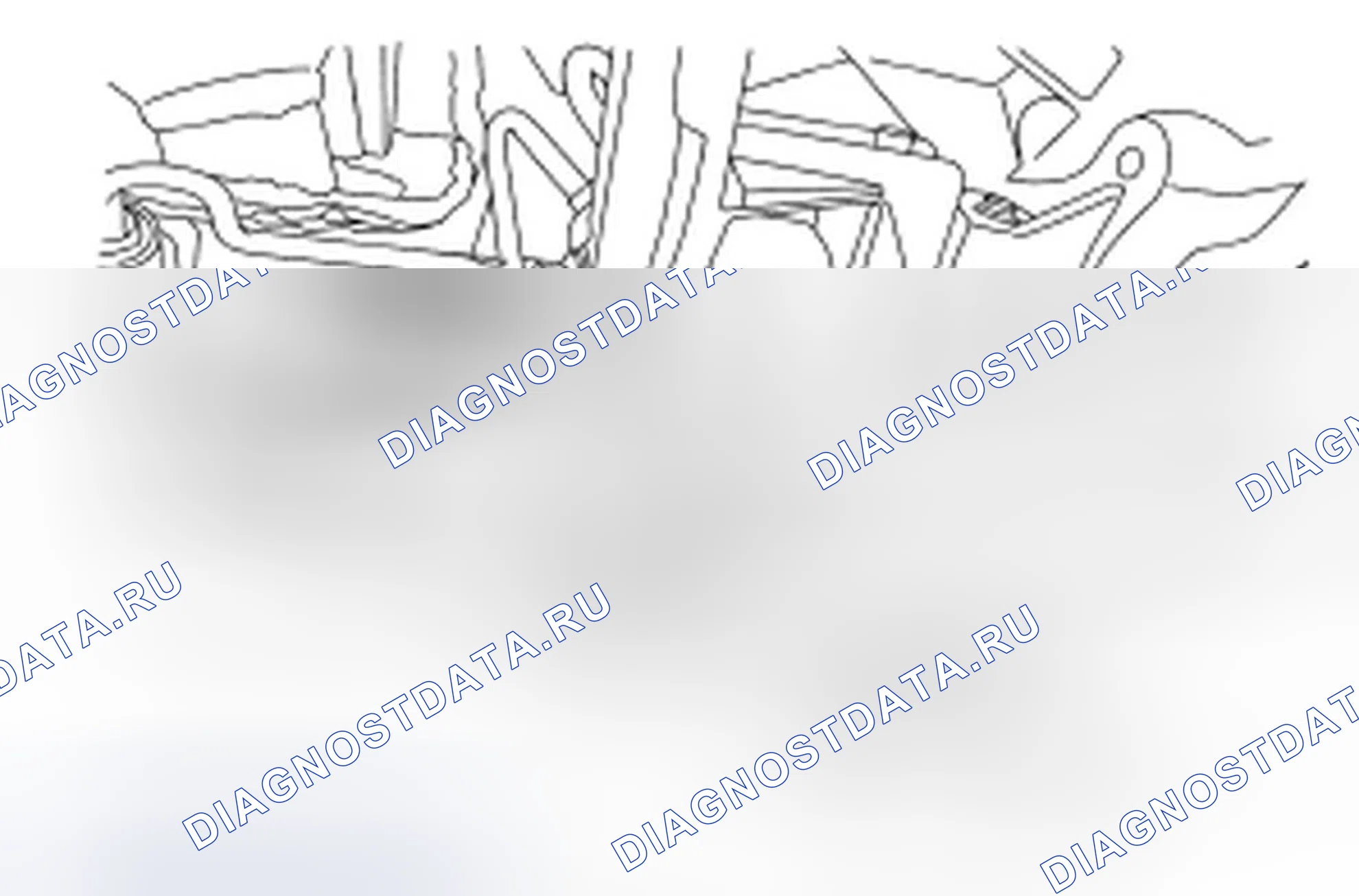 Рис. 26. Ford Focus II