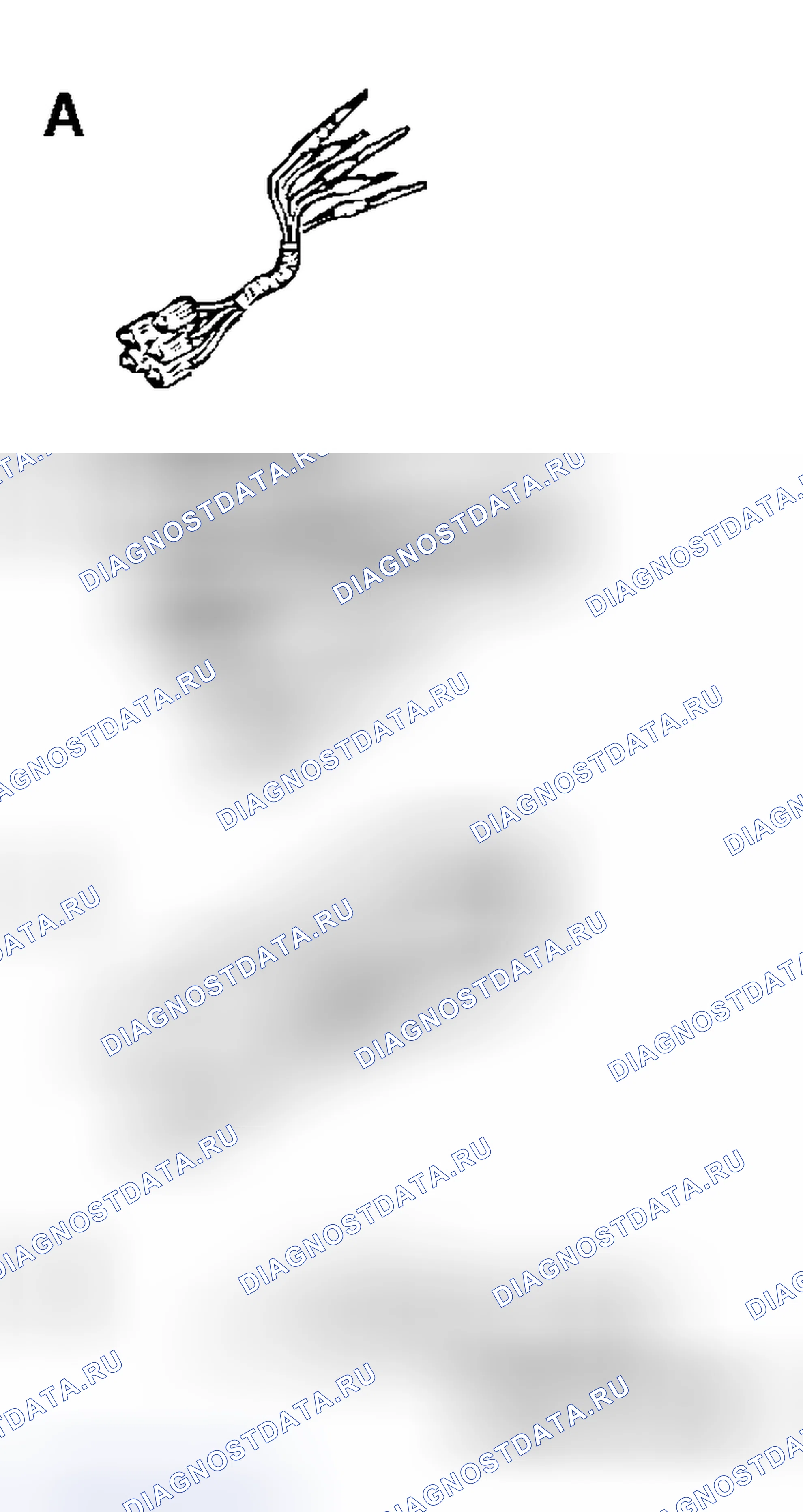 Рис. 194. Honda Fit Shuttle I
