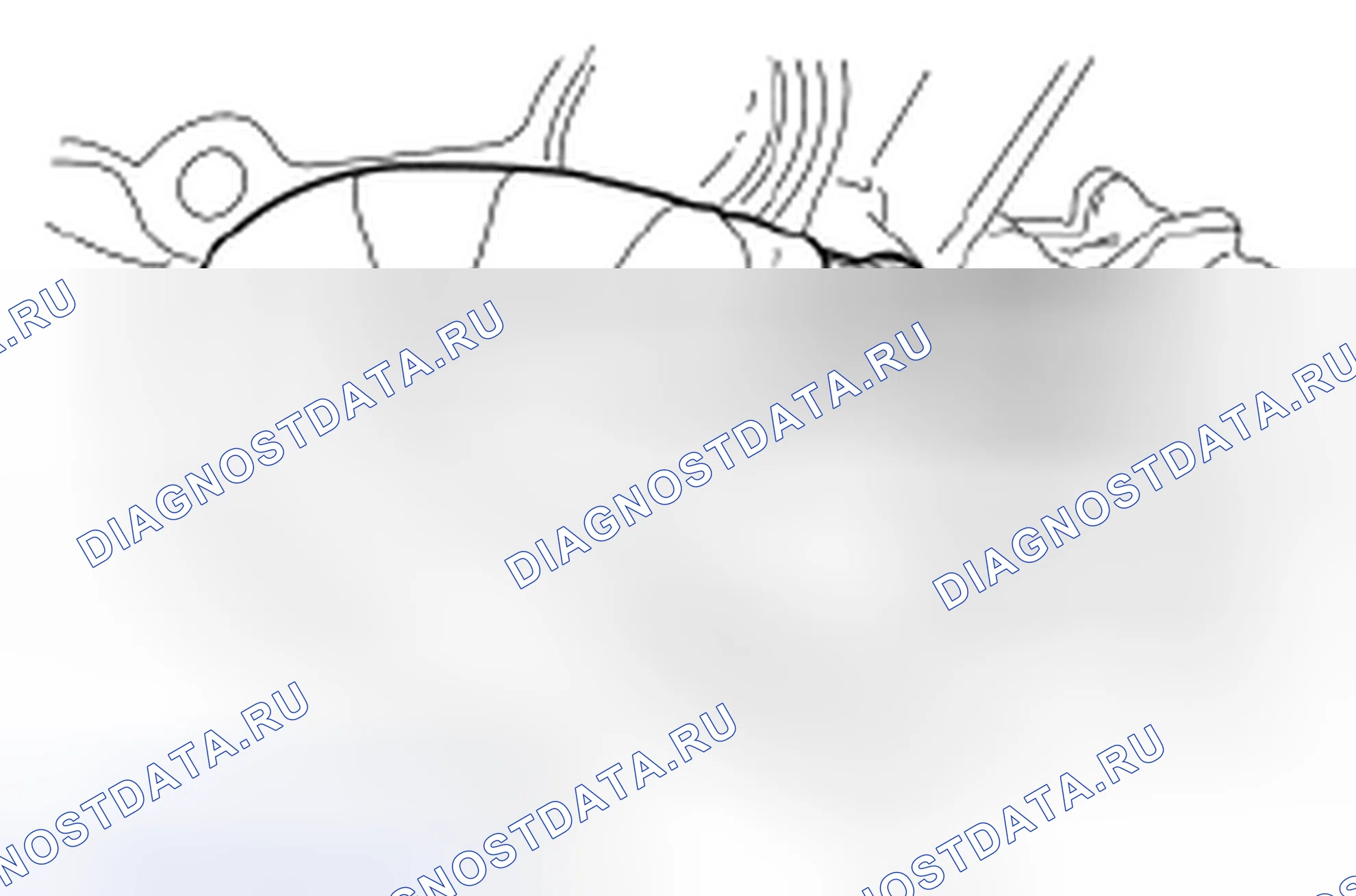 Рис. 1123. Hyundai Kona I рестайлинг