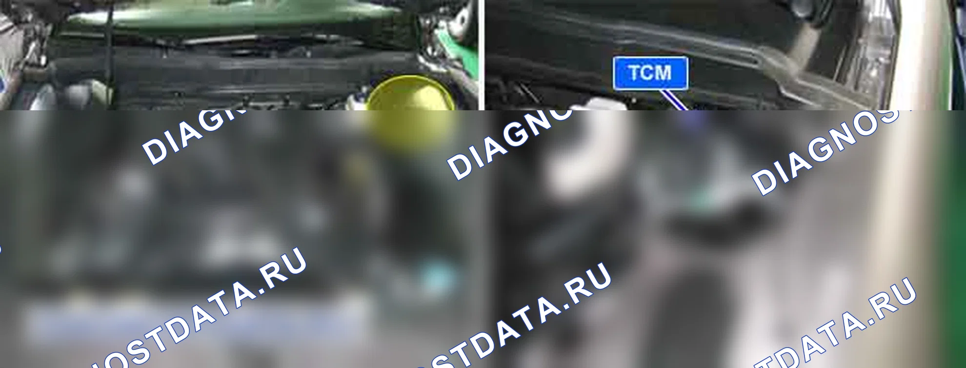U0101: Потеря связи с блоком управления трансмиссией. Hyundai Genesis BH