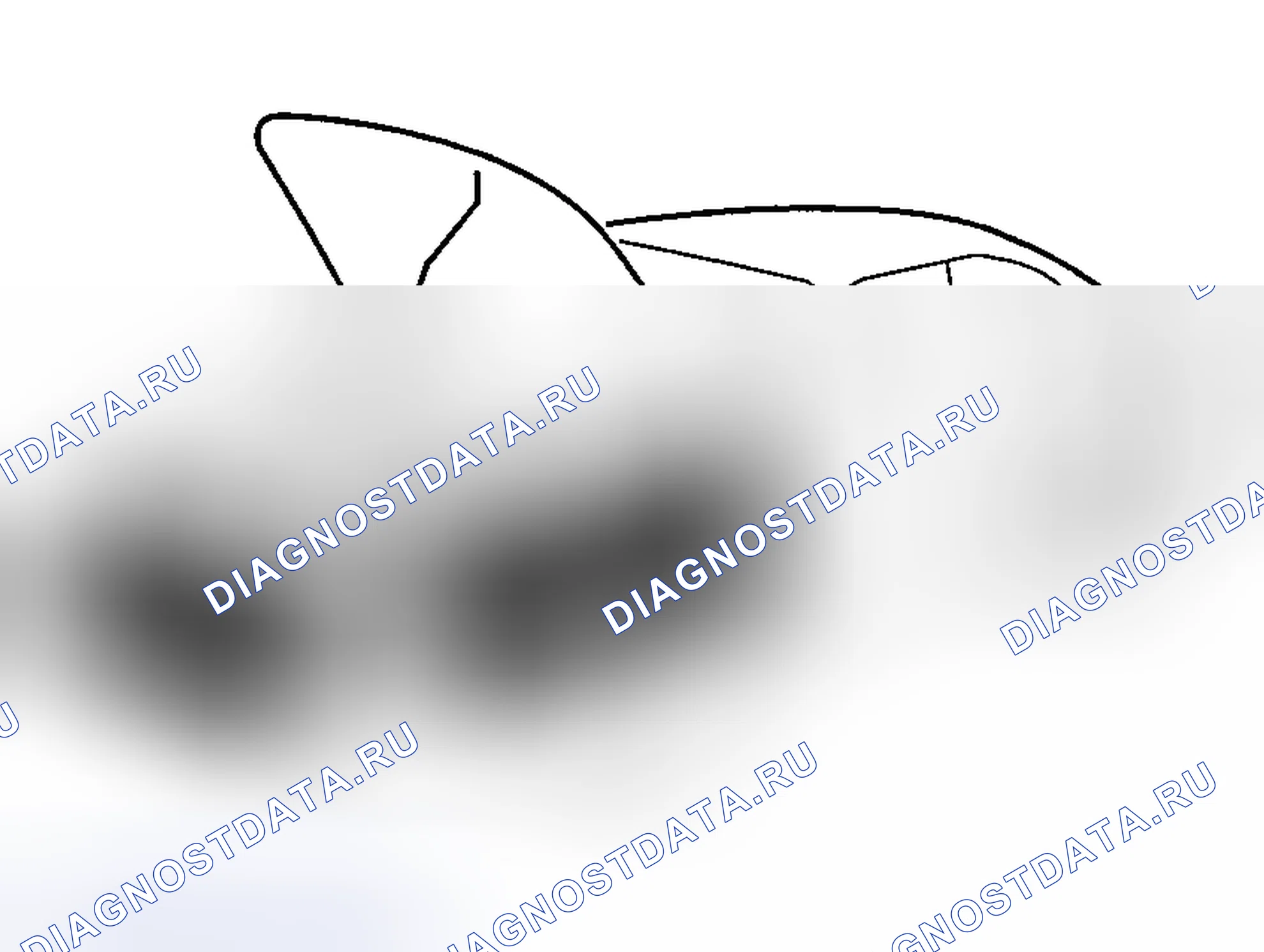 Рис. 26: Защита автомобиля. Mazda RX-8 I