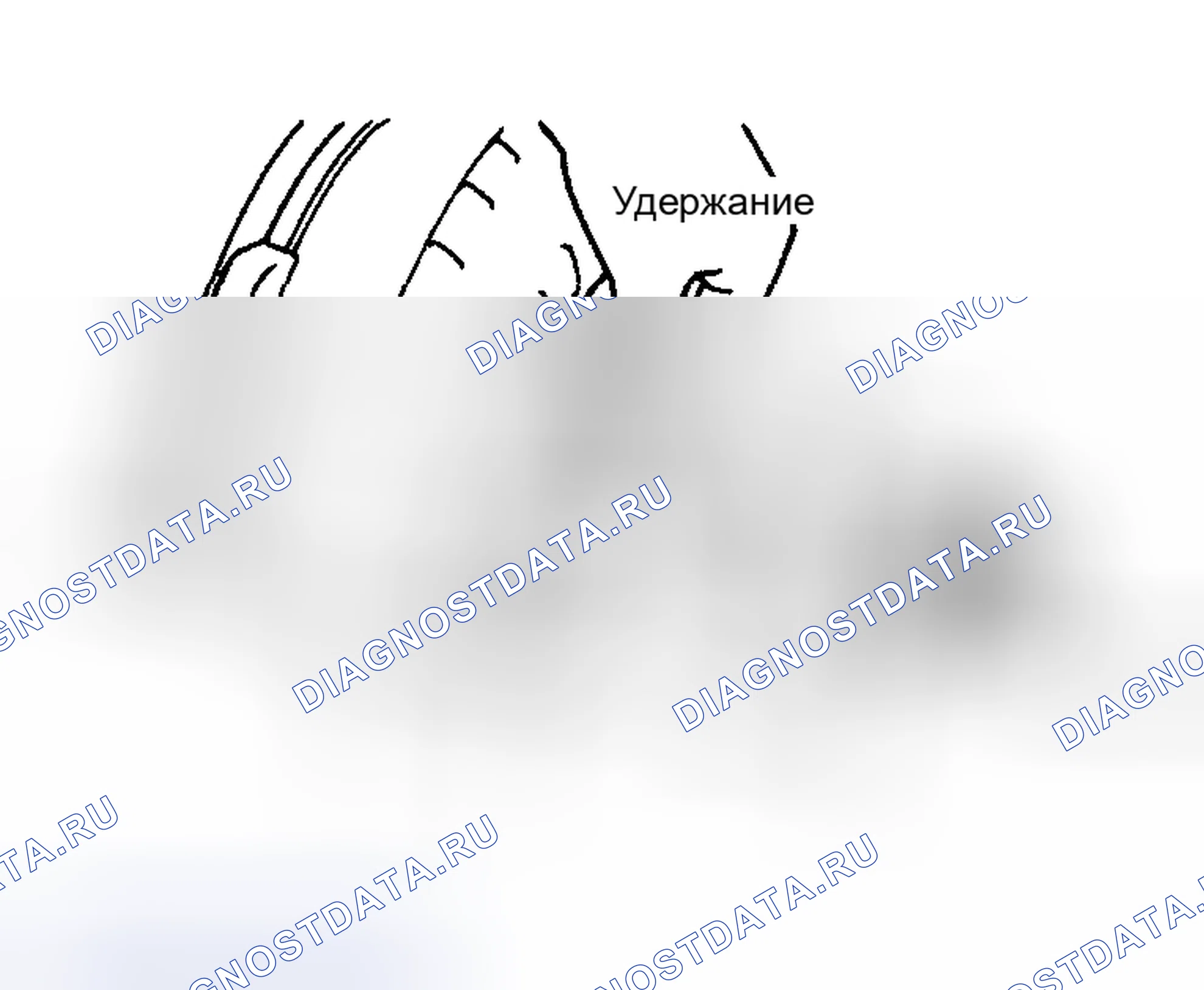 Рис. 206. Toyota Corolla IX рестайлинг