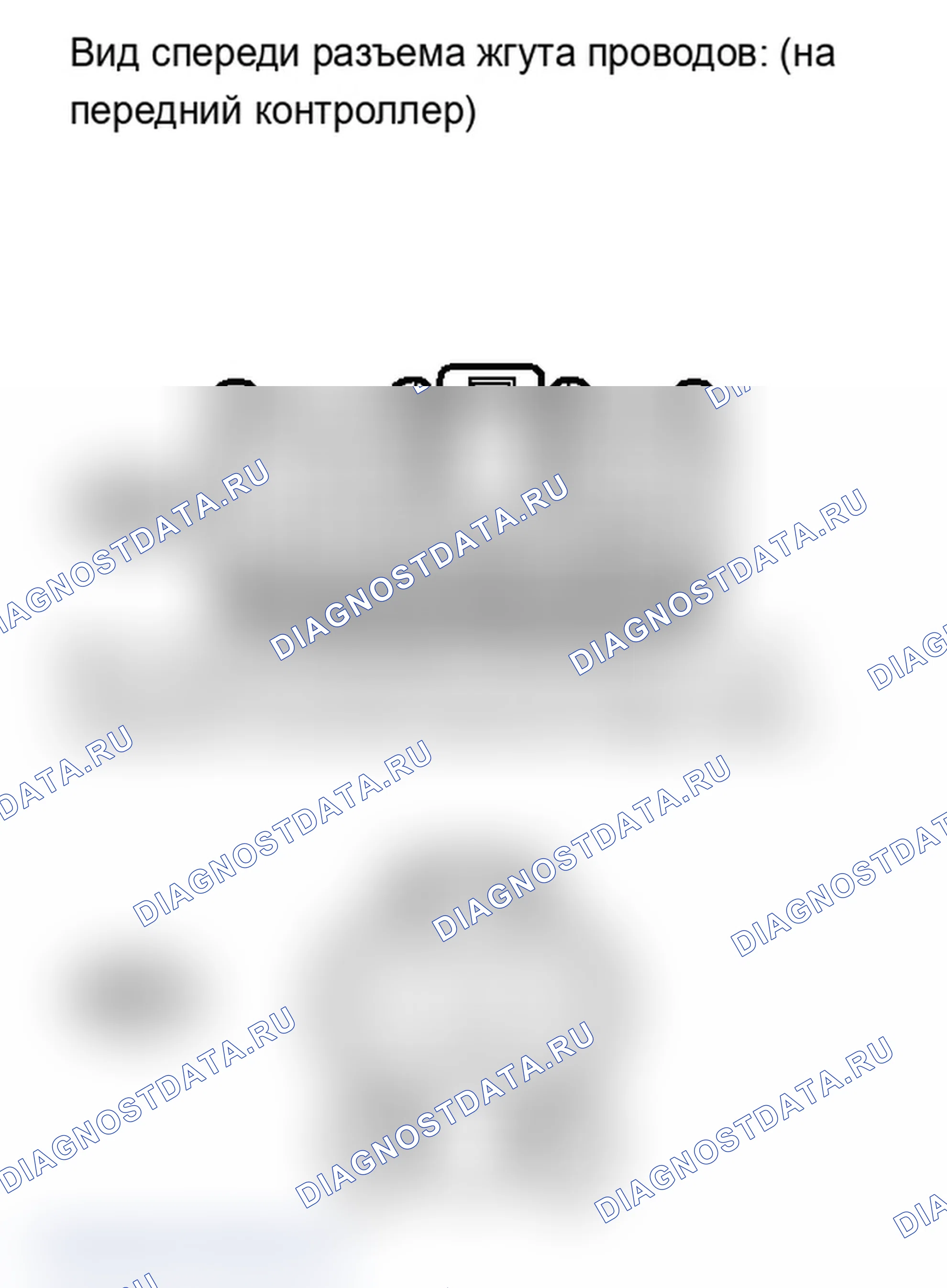 Рис. 213. Lexus IS F I