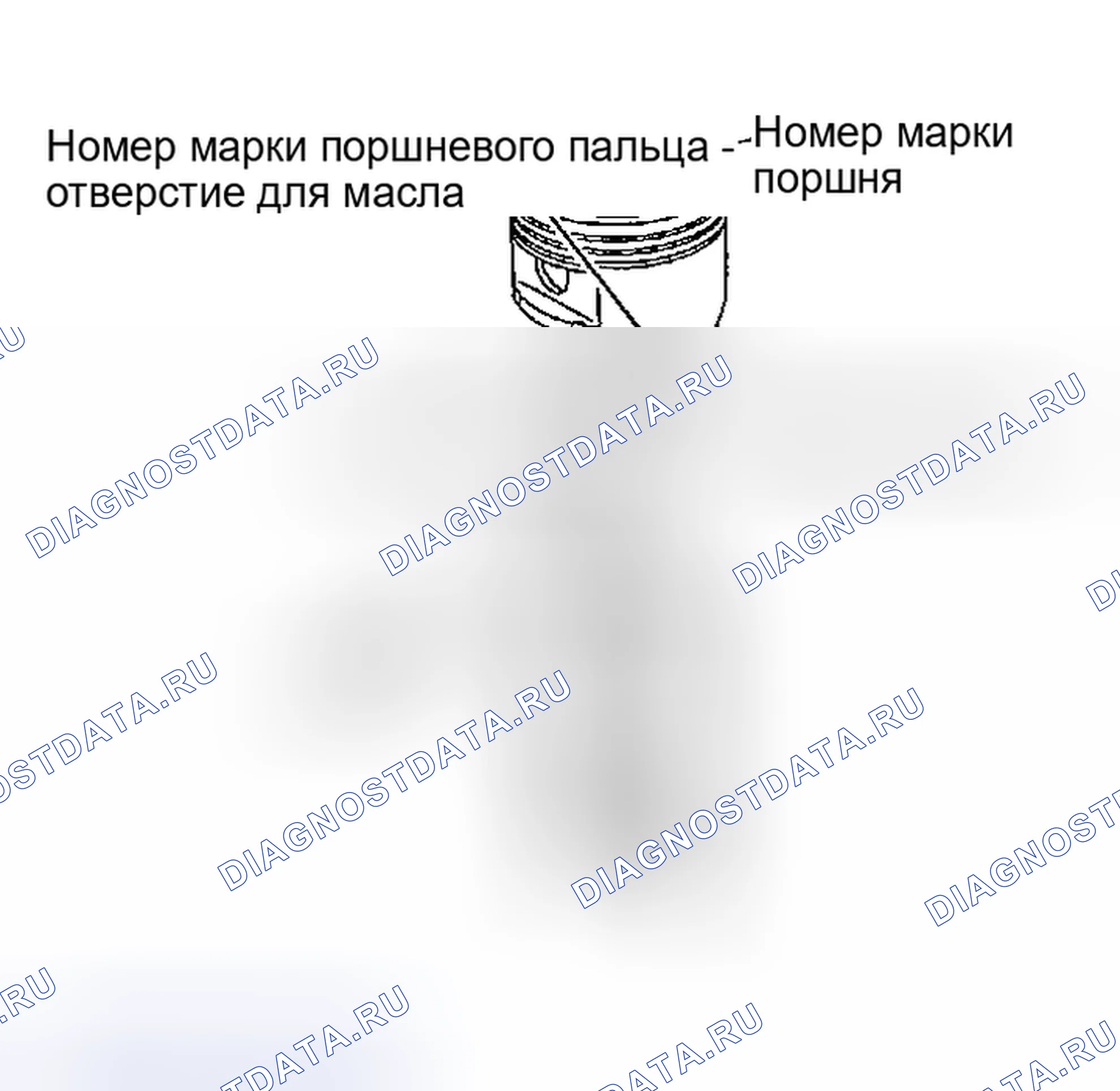 Рис. 491. Nissan Sentra B15
