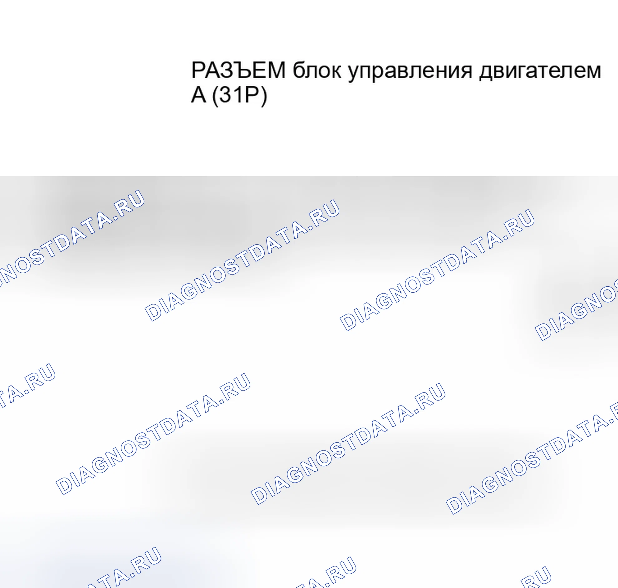 Рис. 523. Honda Civic VII рестайлинг
