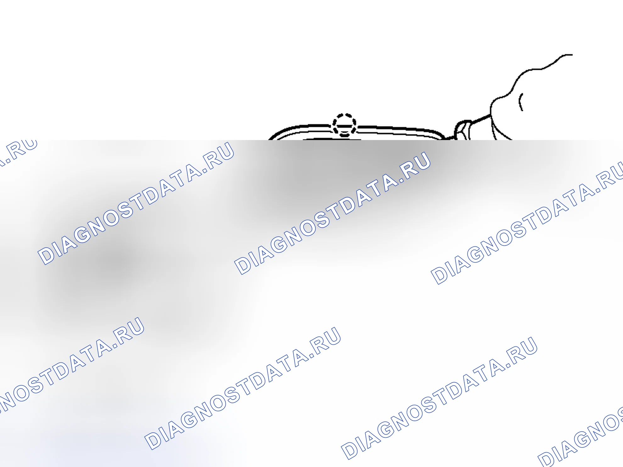 Рис. 208. Haval H8 I