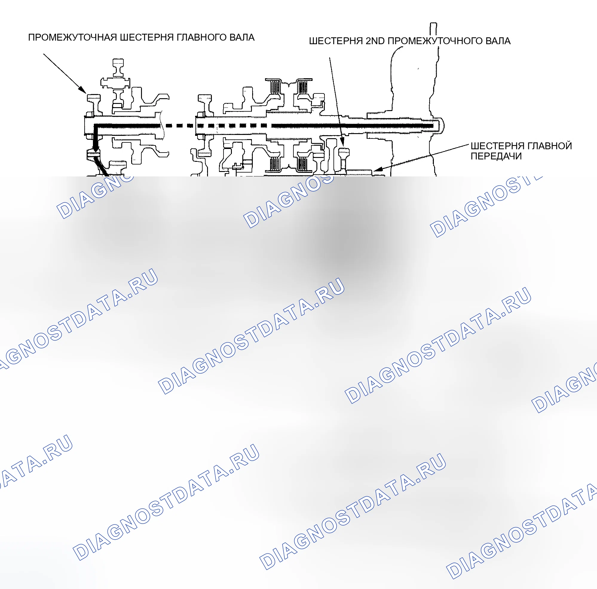 Рис. 442. Honda Element YH2