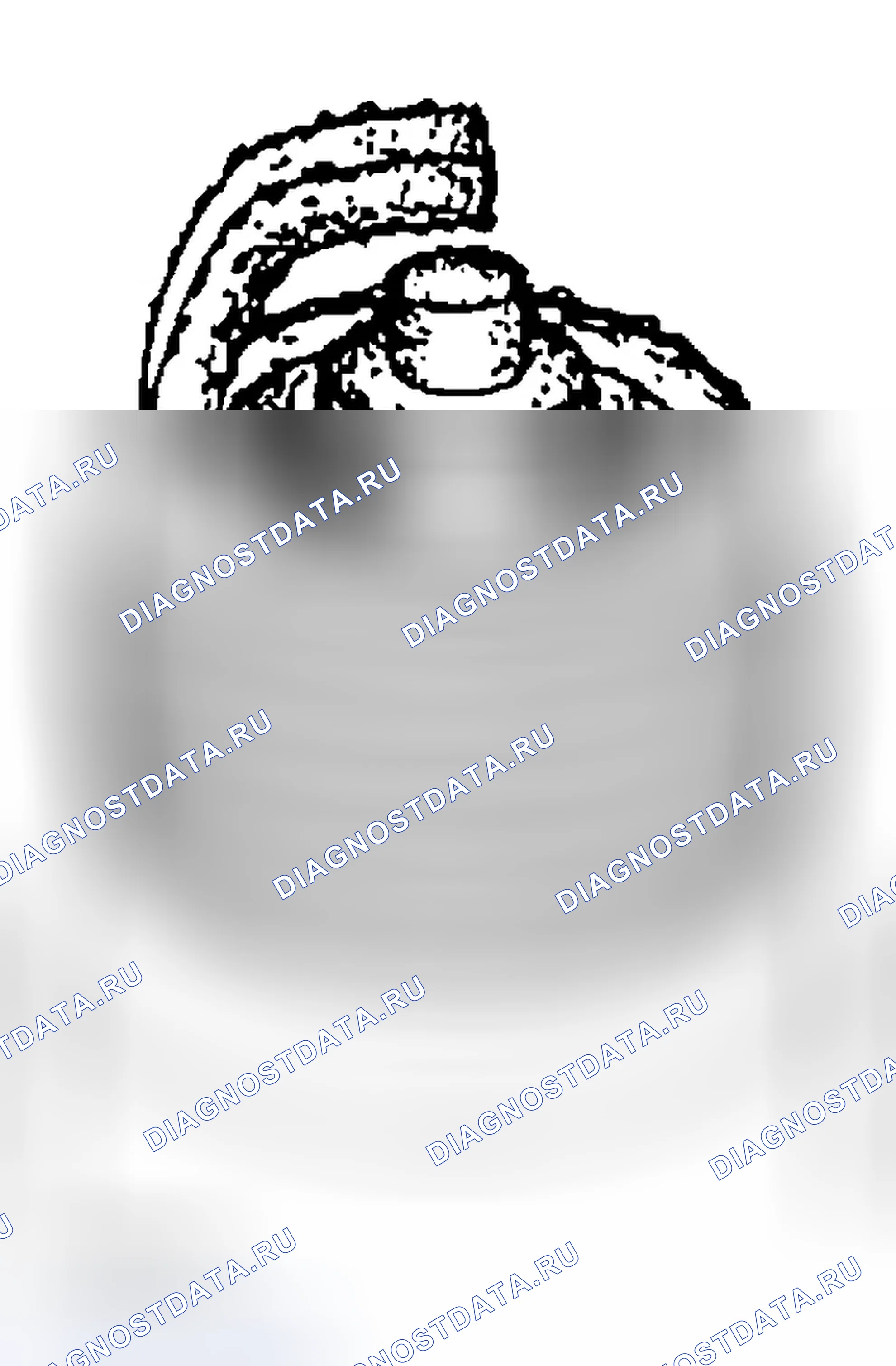 Рис. 79. Ford Explorer Sport Trac I