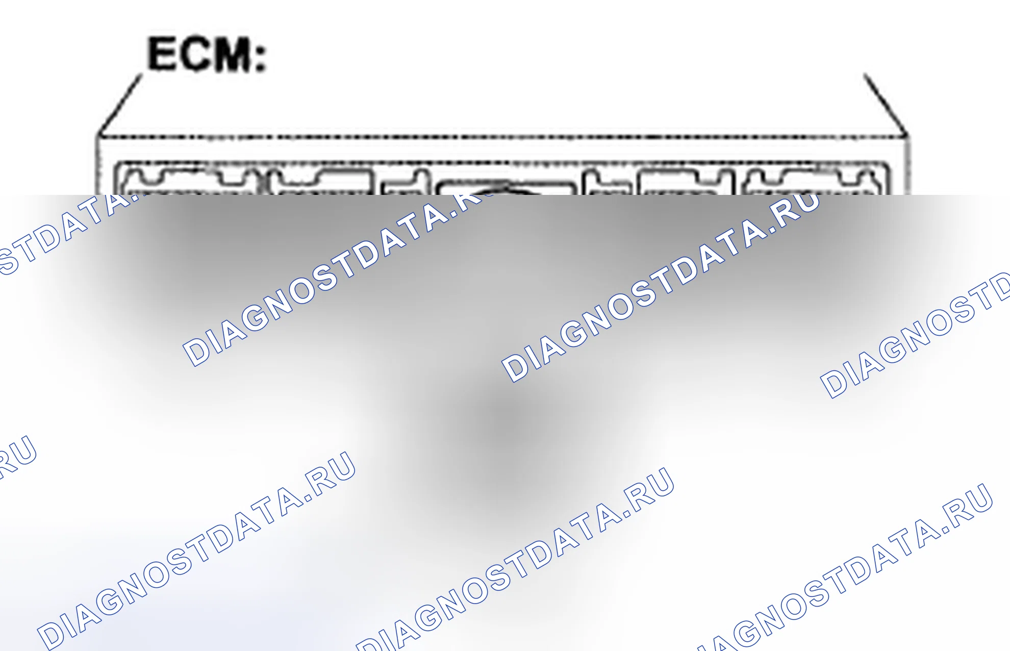 Рис. 425. Toyota Tacoma II