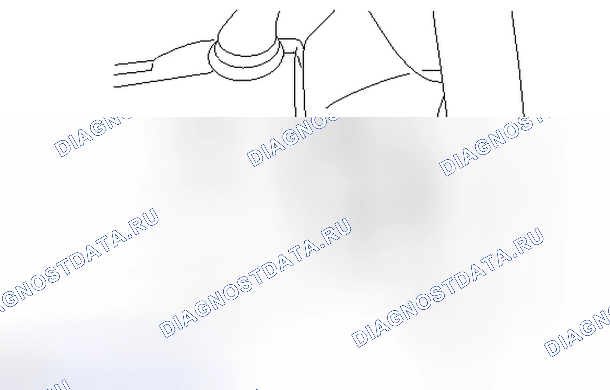 Рис. 4. Honda Accord V