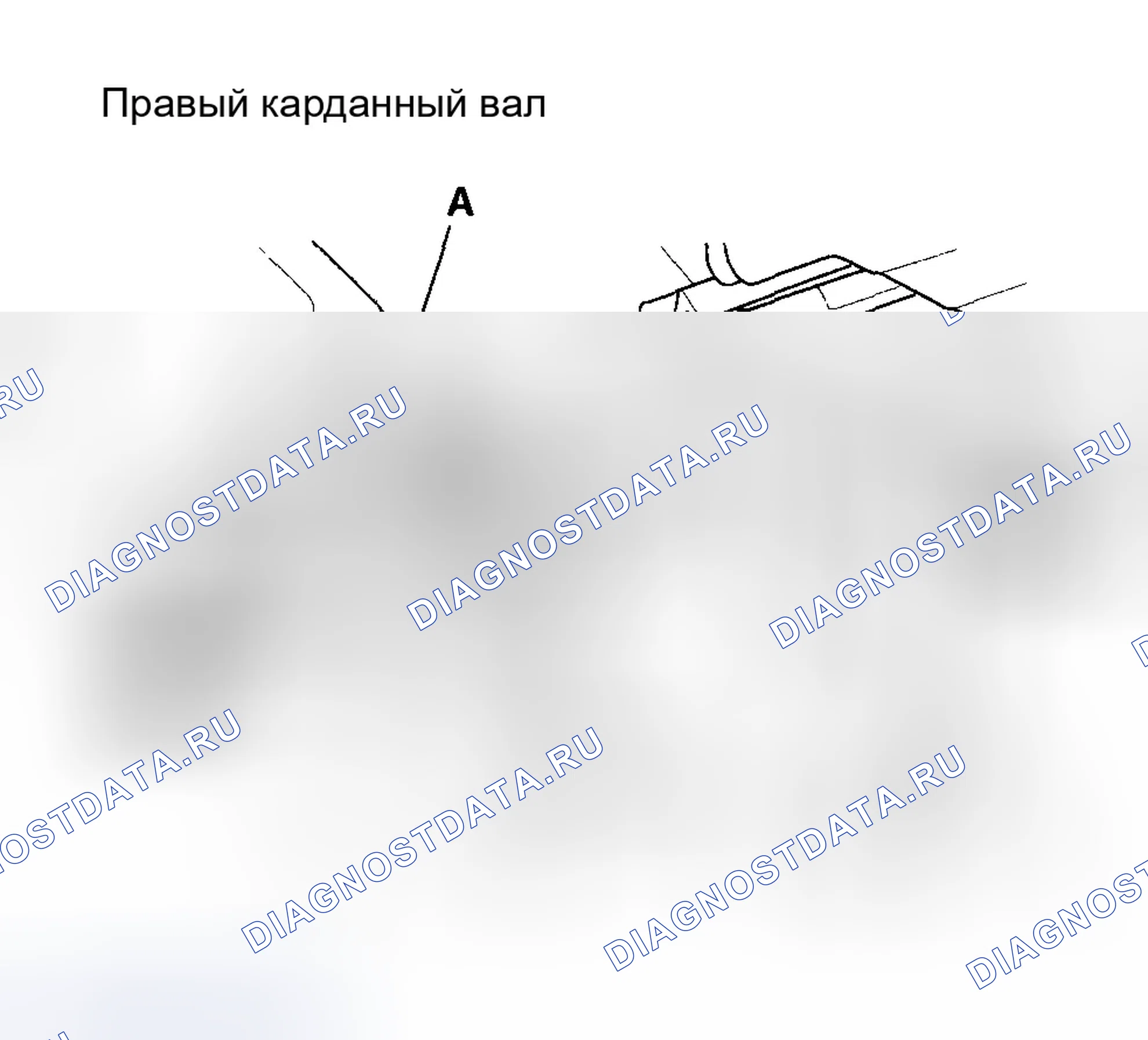 Рис. 75. Honda Accord VII рестайлинг