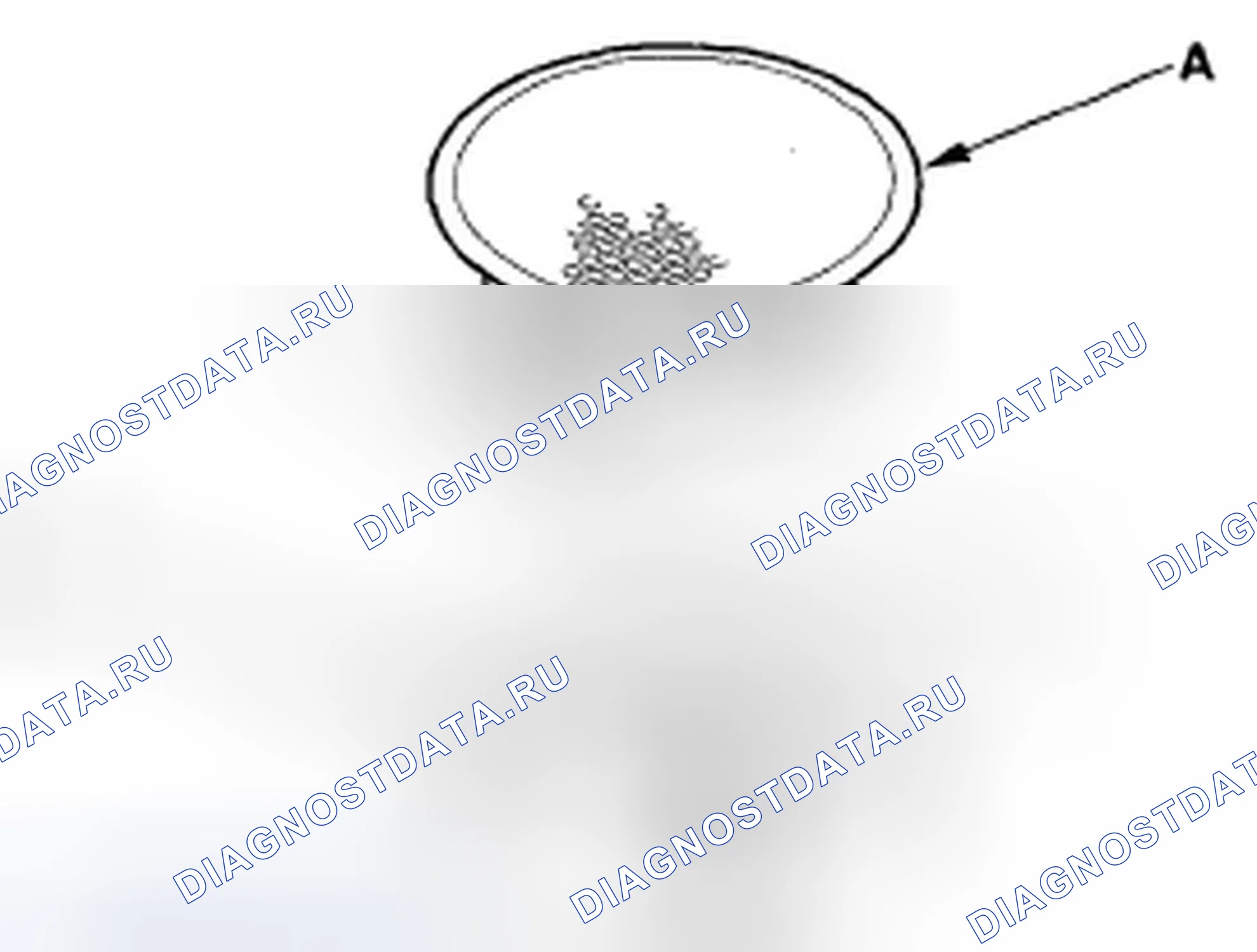 Рис. 16: Tweeter. Acura TSX I