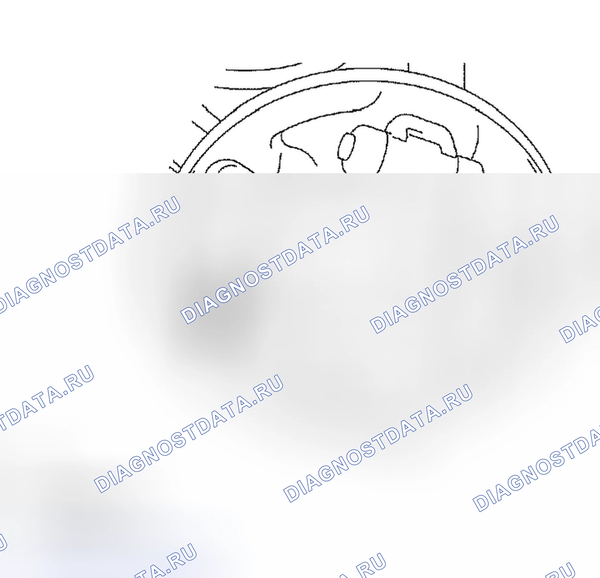Рис. 8. Scion xB I
