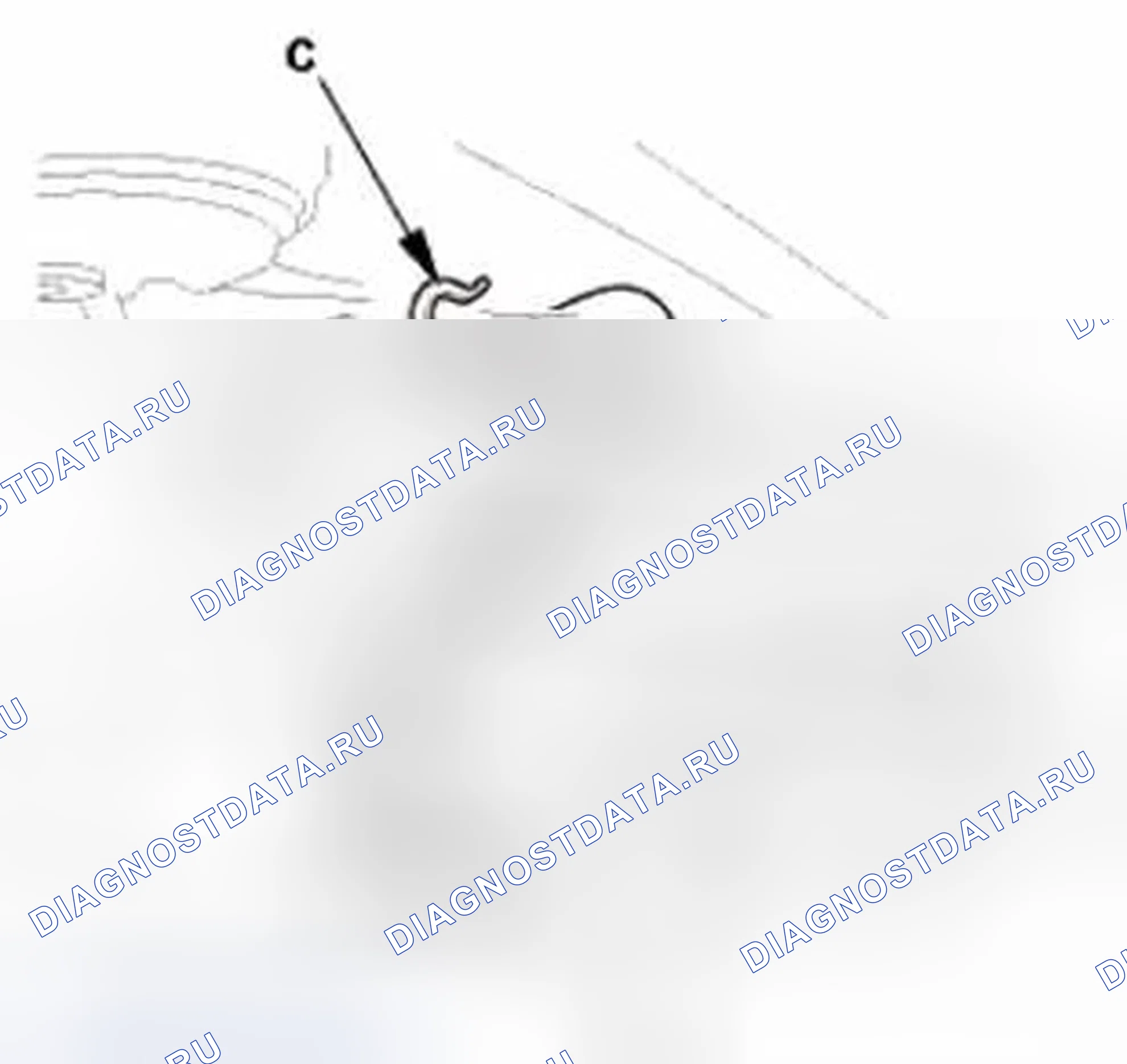 Рис. 360. Honda CR-V IV