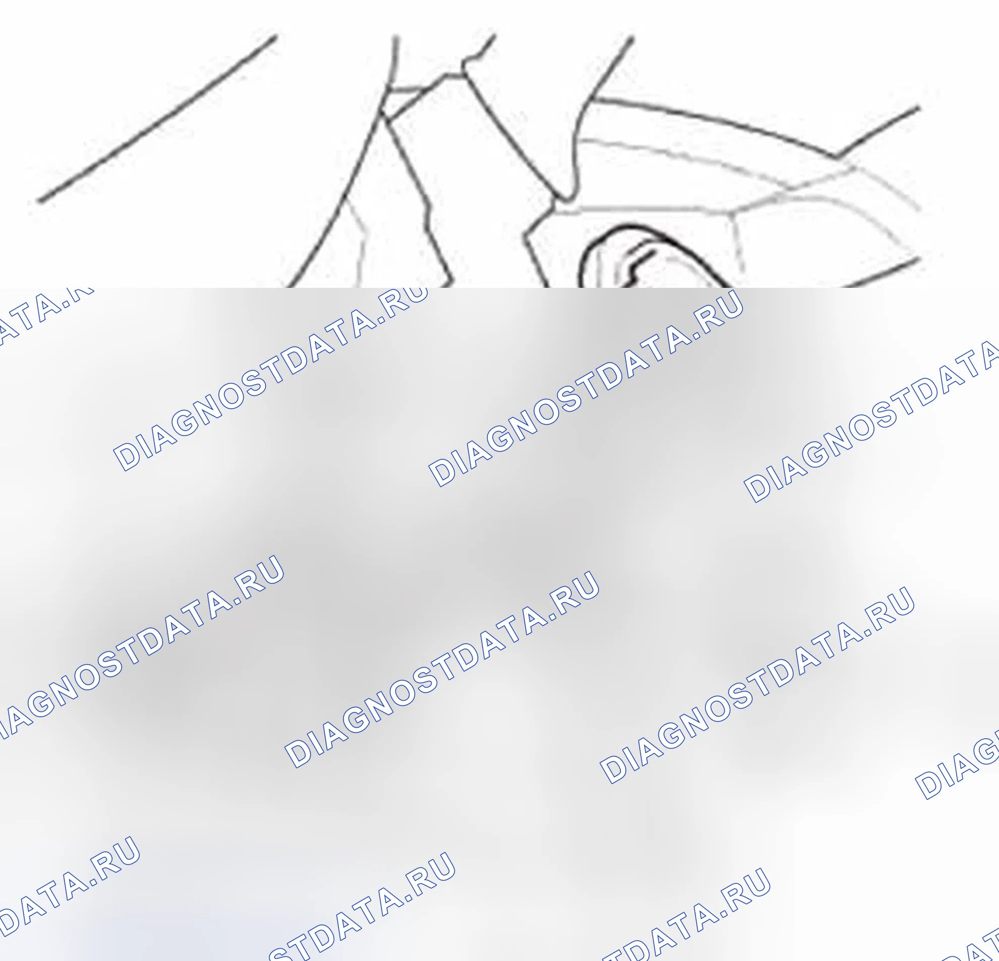 Рис. 294. Honda CR-V IV