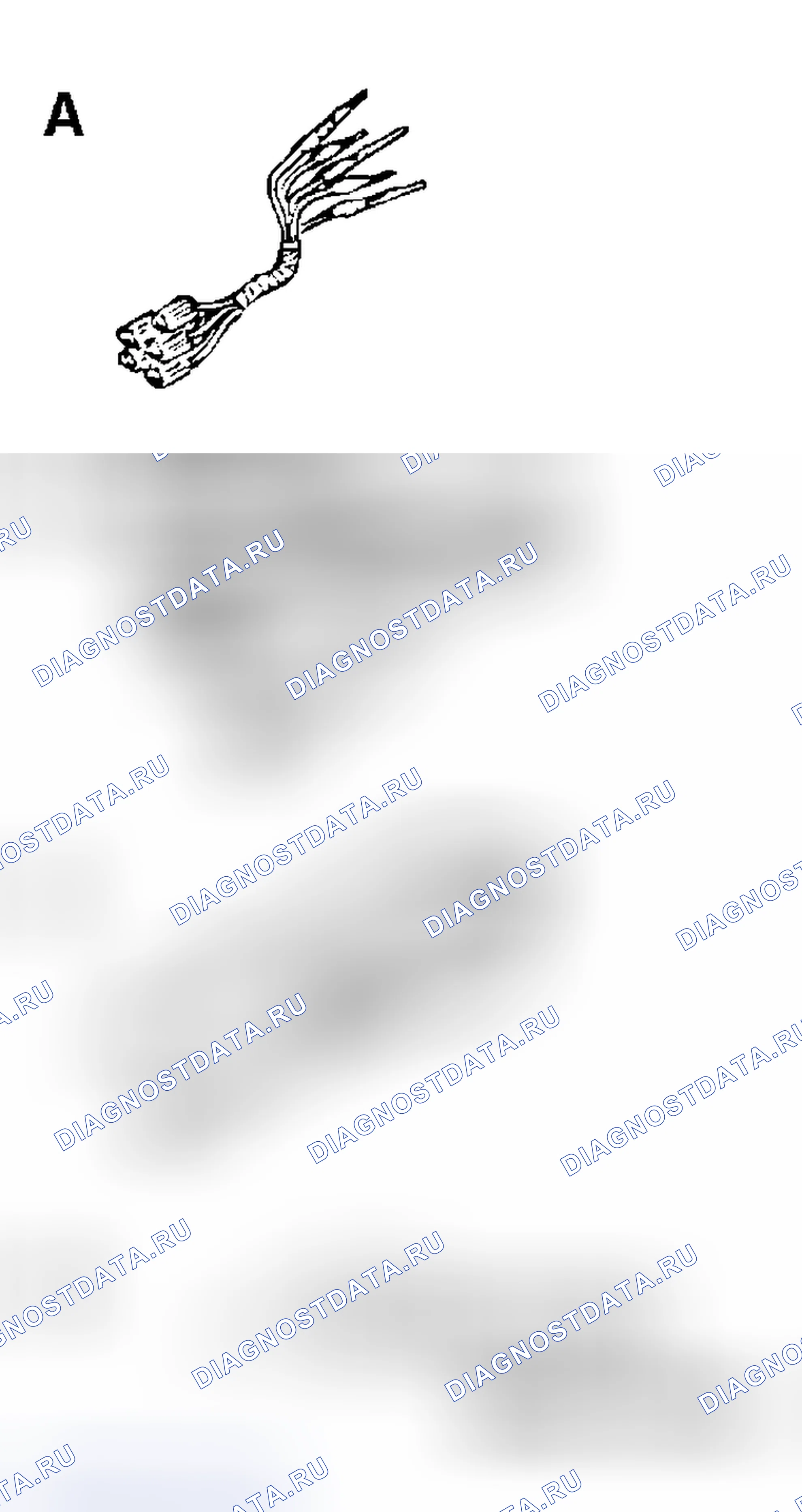Рис. 62. Mitsubishi Endeavor I