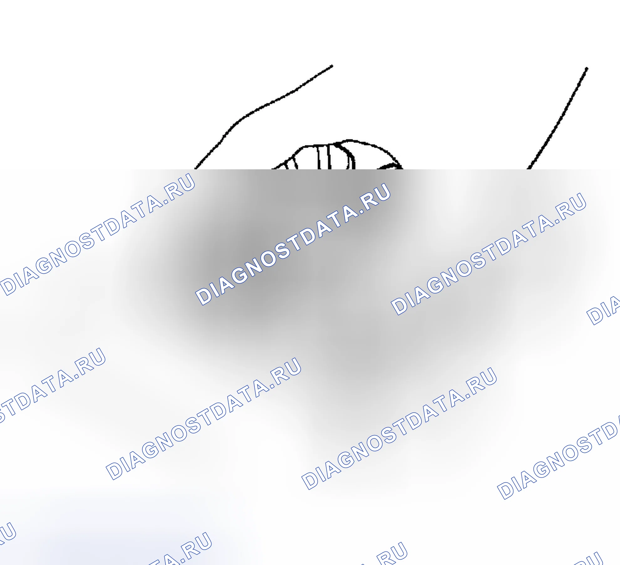 Рис. 153. Toyota Tacoma I рестайлинг