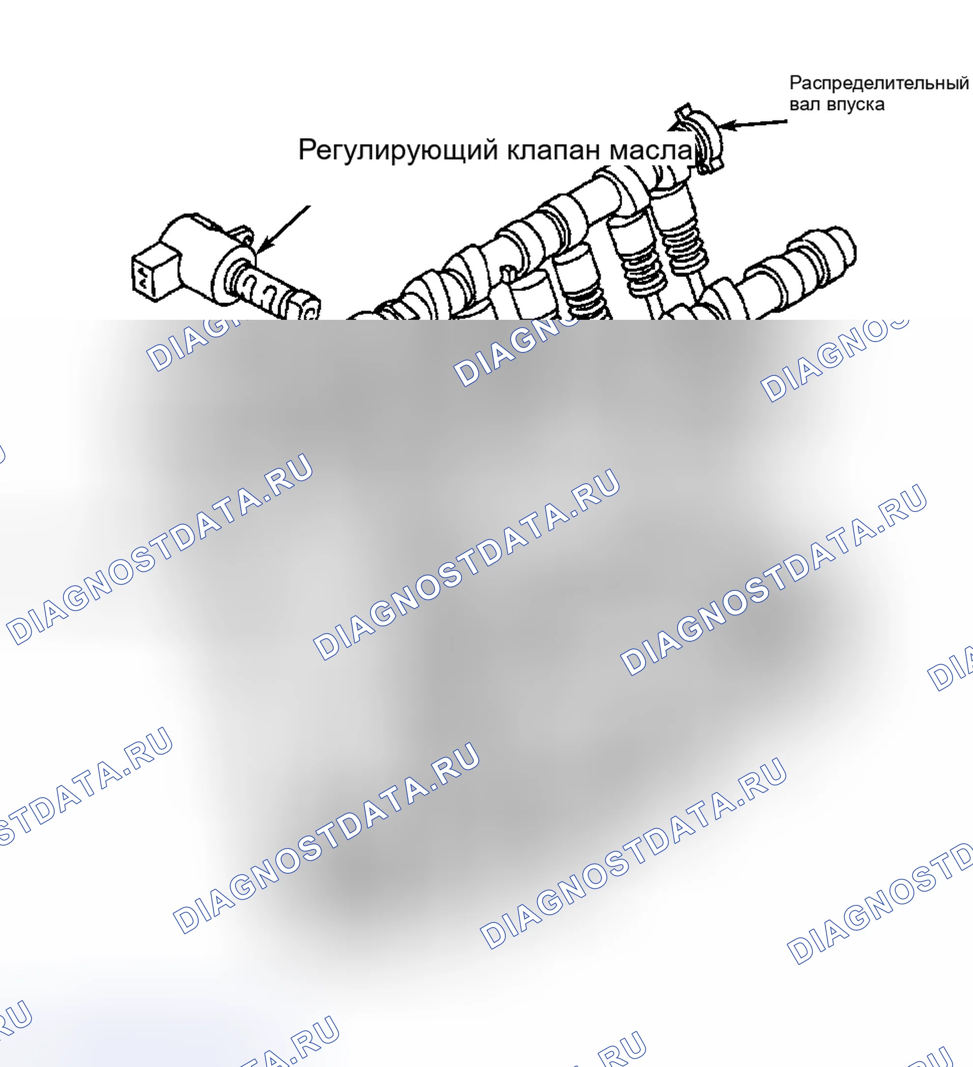 Рис. 3. Honda CR-V II