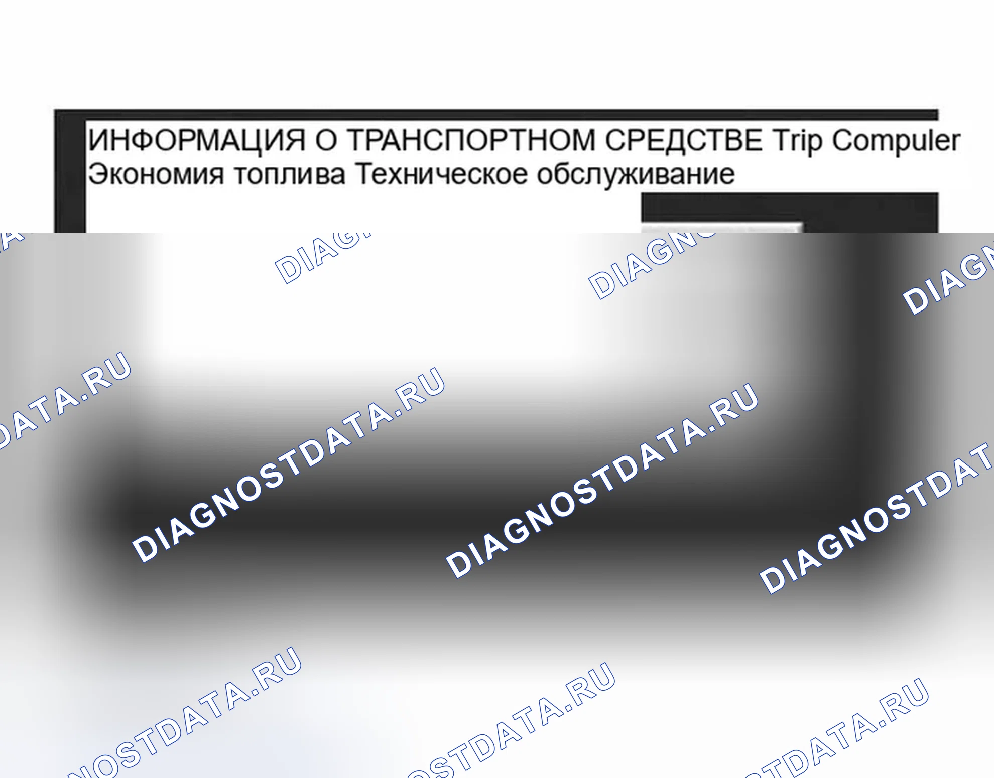 Рис. 136: Дисплей с нажатым переключателем " INFO ". Infiniti G35 III