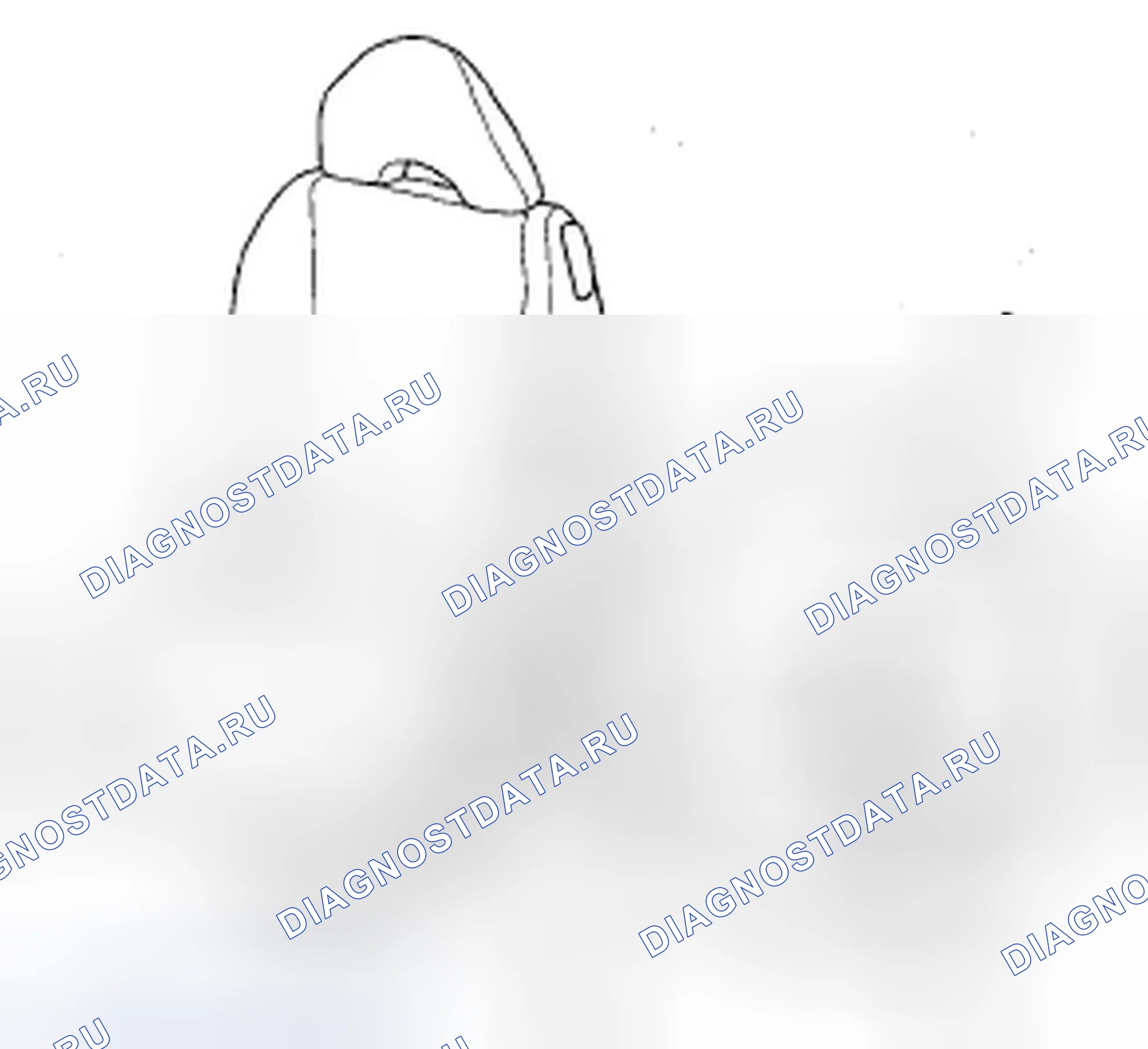 Рис. 5. Honda Fit I