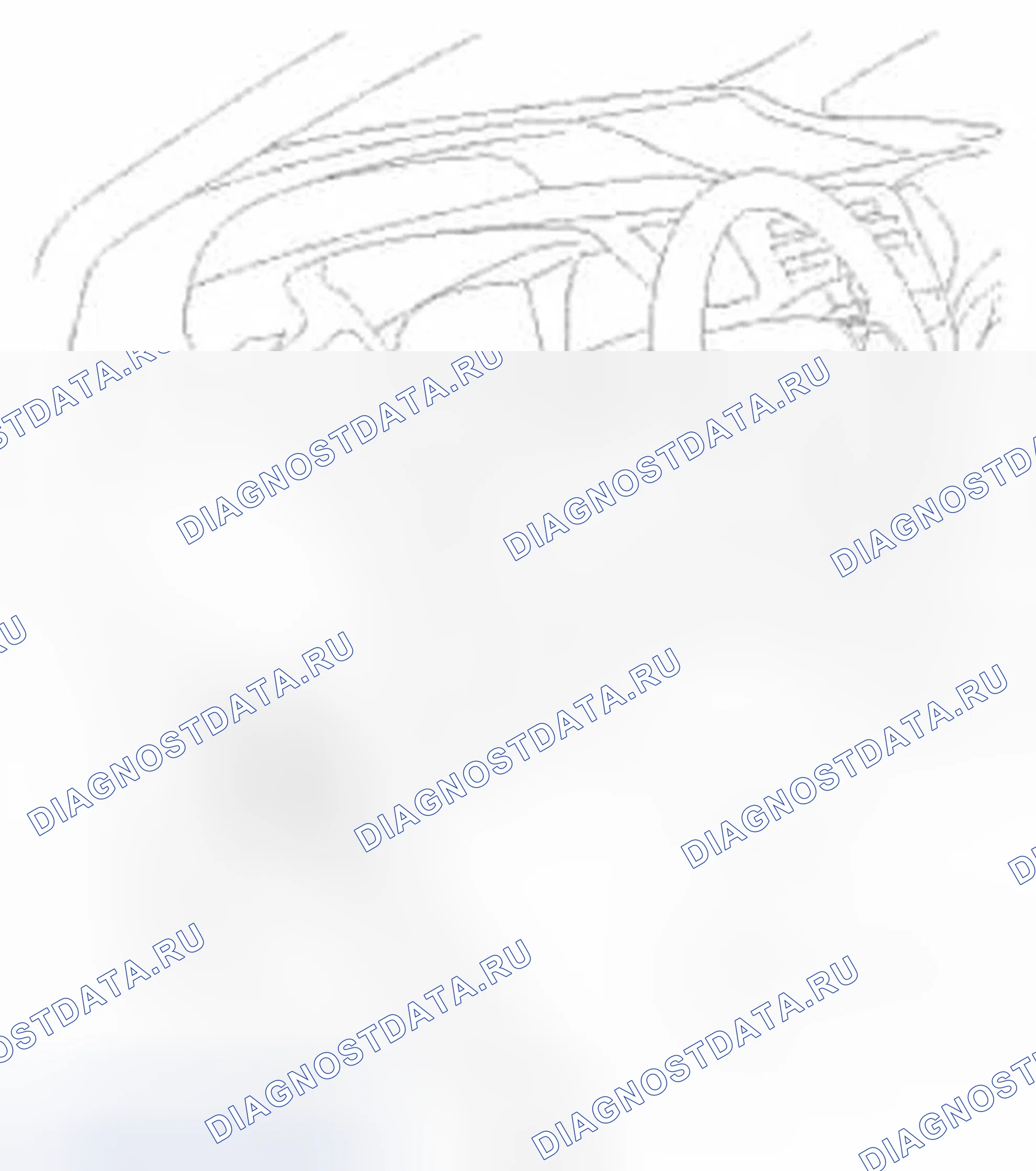 Рис. 719: Как использовать HDS (диагностическая система Honda). Honda Civic IX