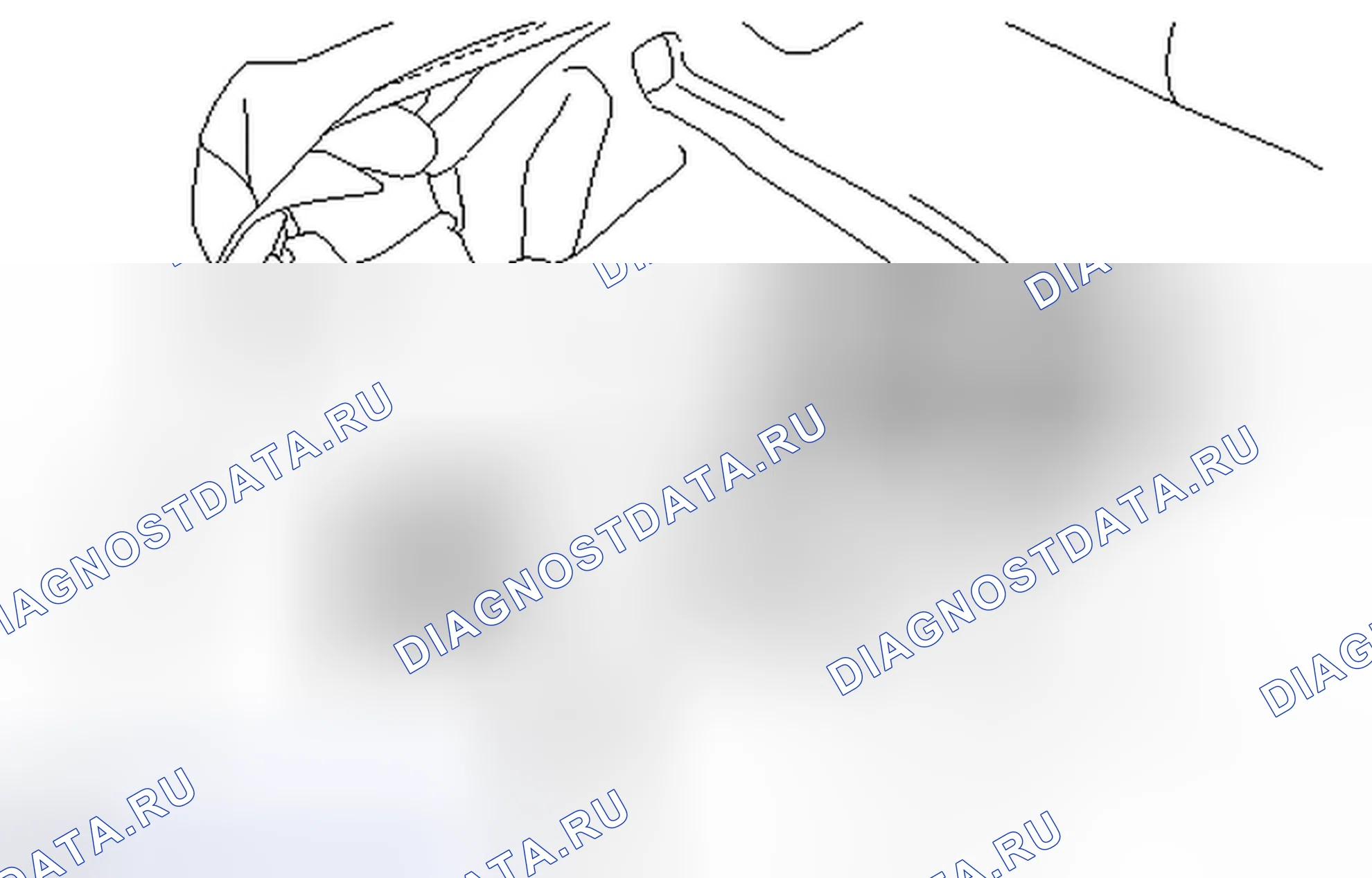 Рис. 464. Honda Accord VII