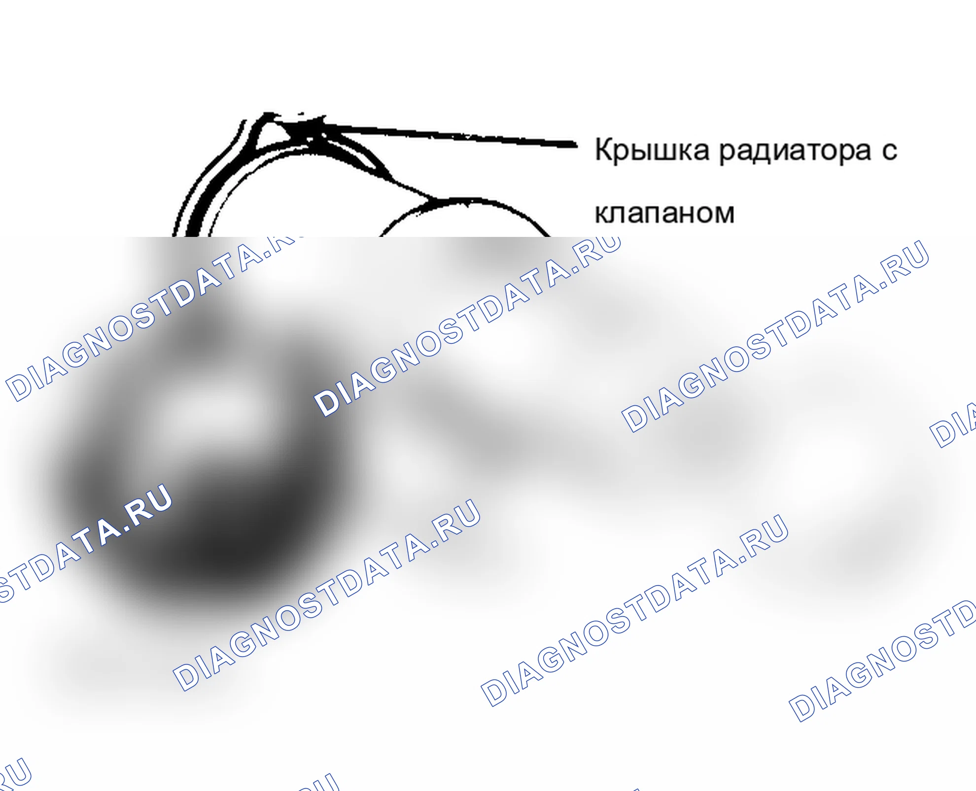 Рис. 2: крышка радиатора для испытания под давлением. Acura Integra I