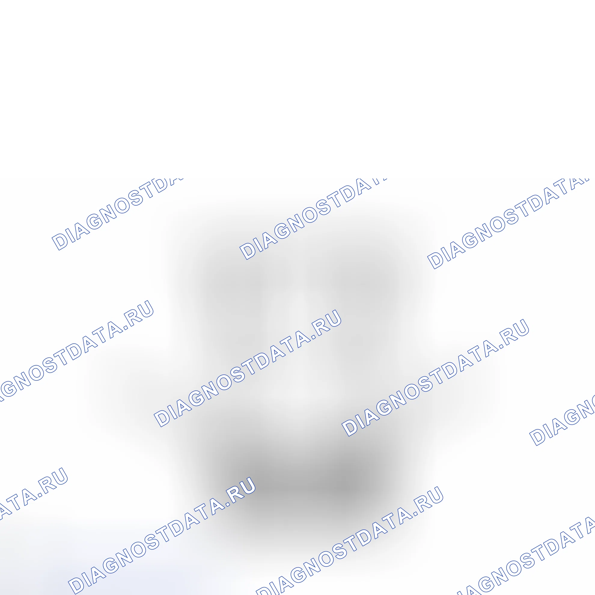 Рис. 106. Haval H6S I