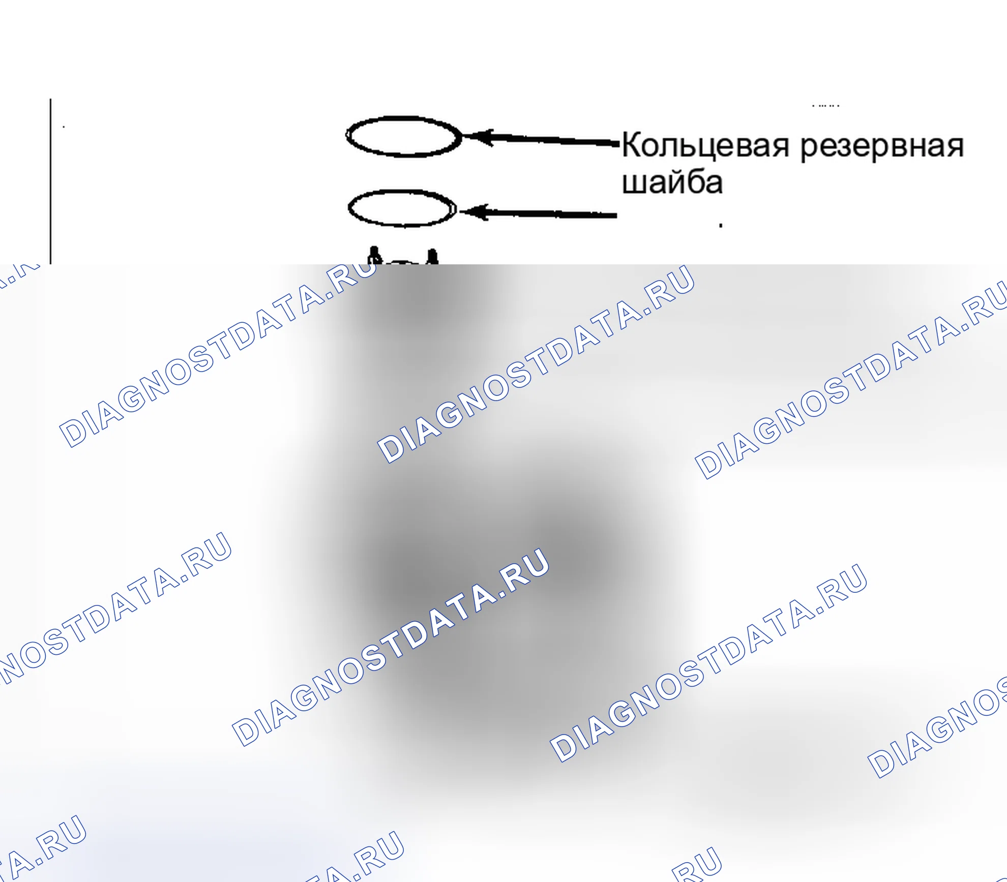 Рис. 4: Компоненты инжектора в разобранном виде. Cadillac Seville II