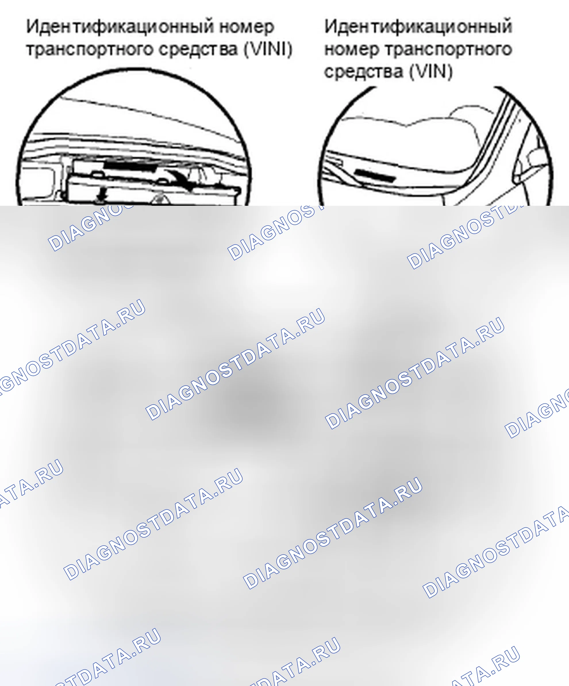 Рис. 24: Расположение идентификационных номеров. Honda CR-V III рестайлинг