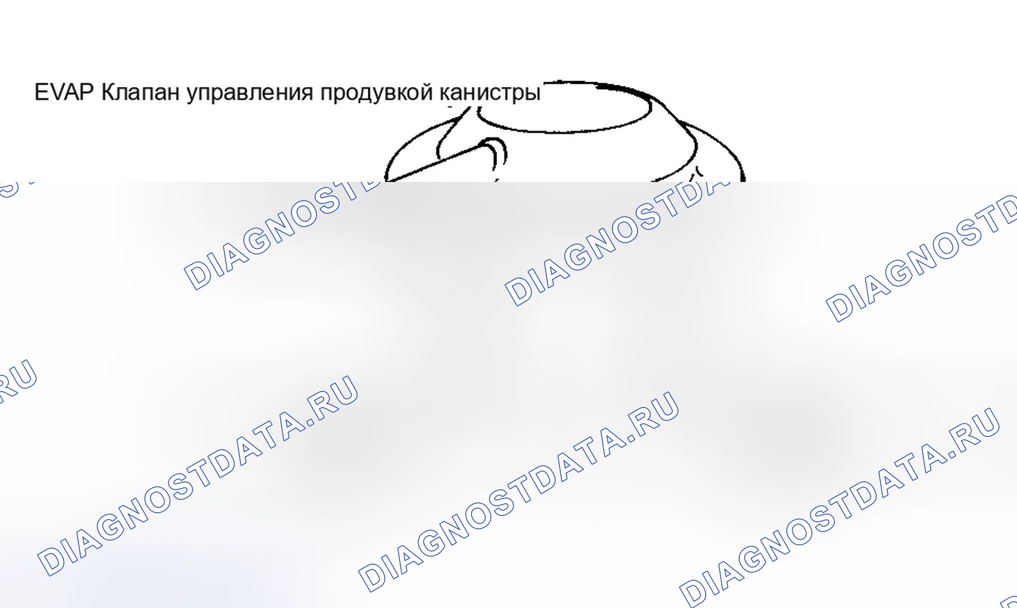 Рис. 24. Infiniti Q45 II
