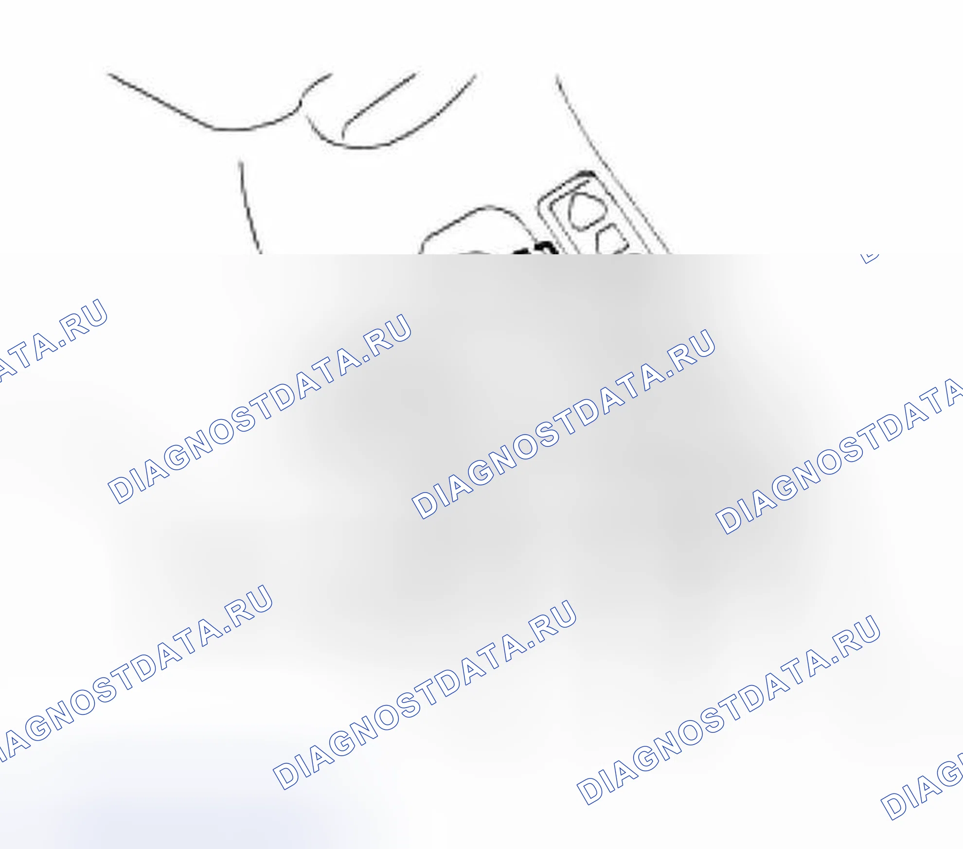 Рис. 100. Land Rover Freelander L314