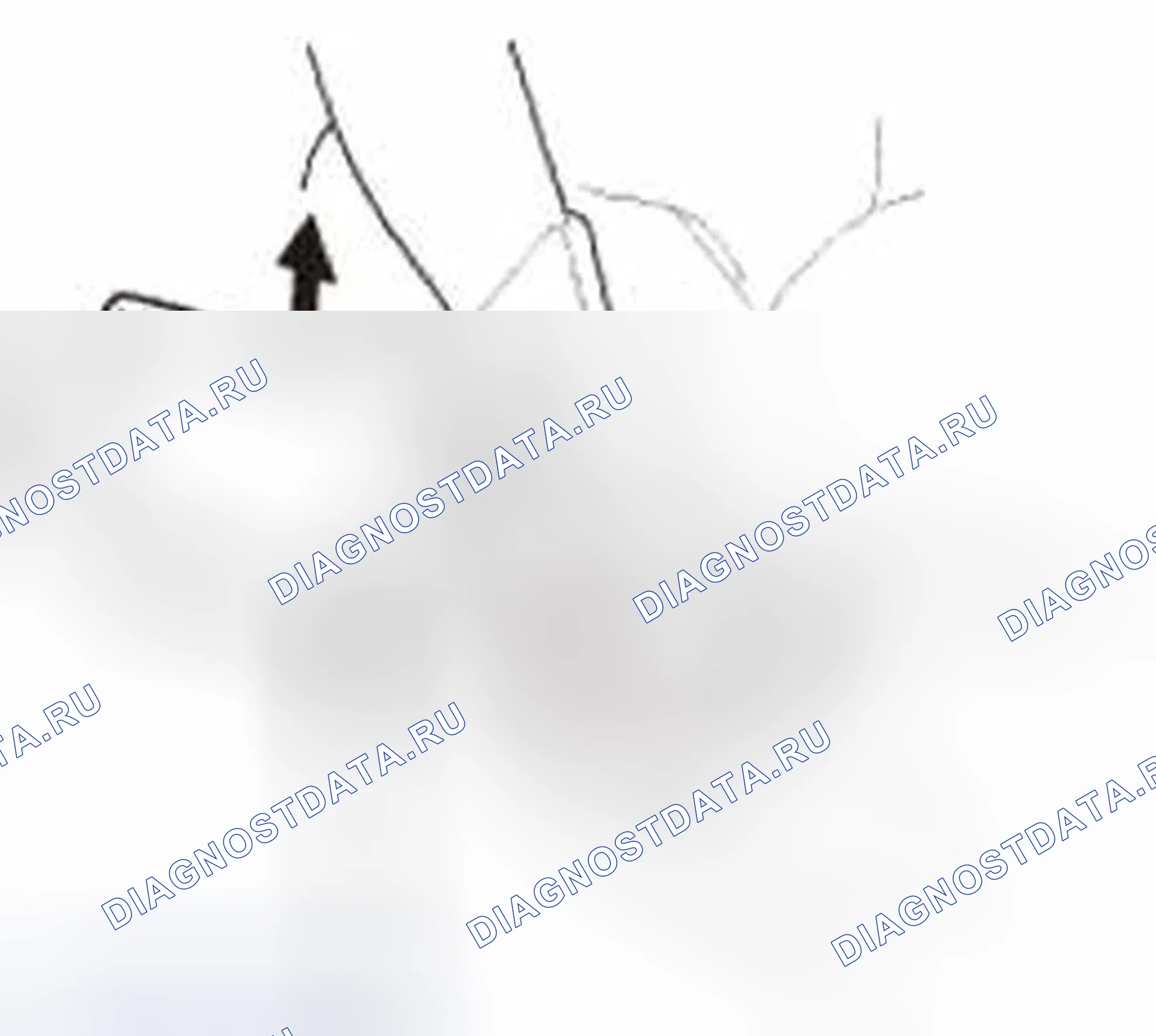 Рис. 274. Honda Civic IX