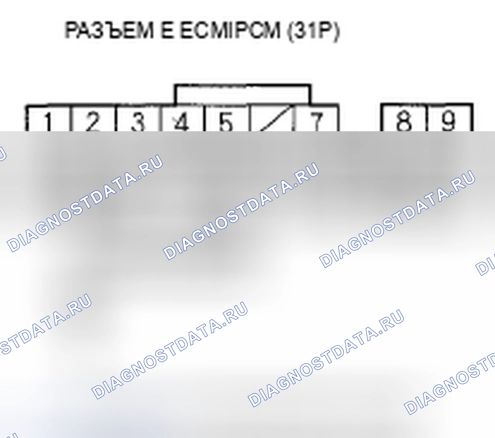 Рис. 146. Acura TSX I