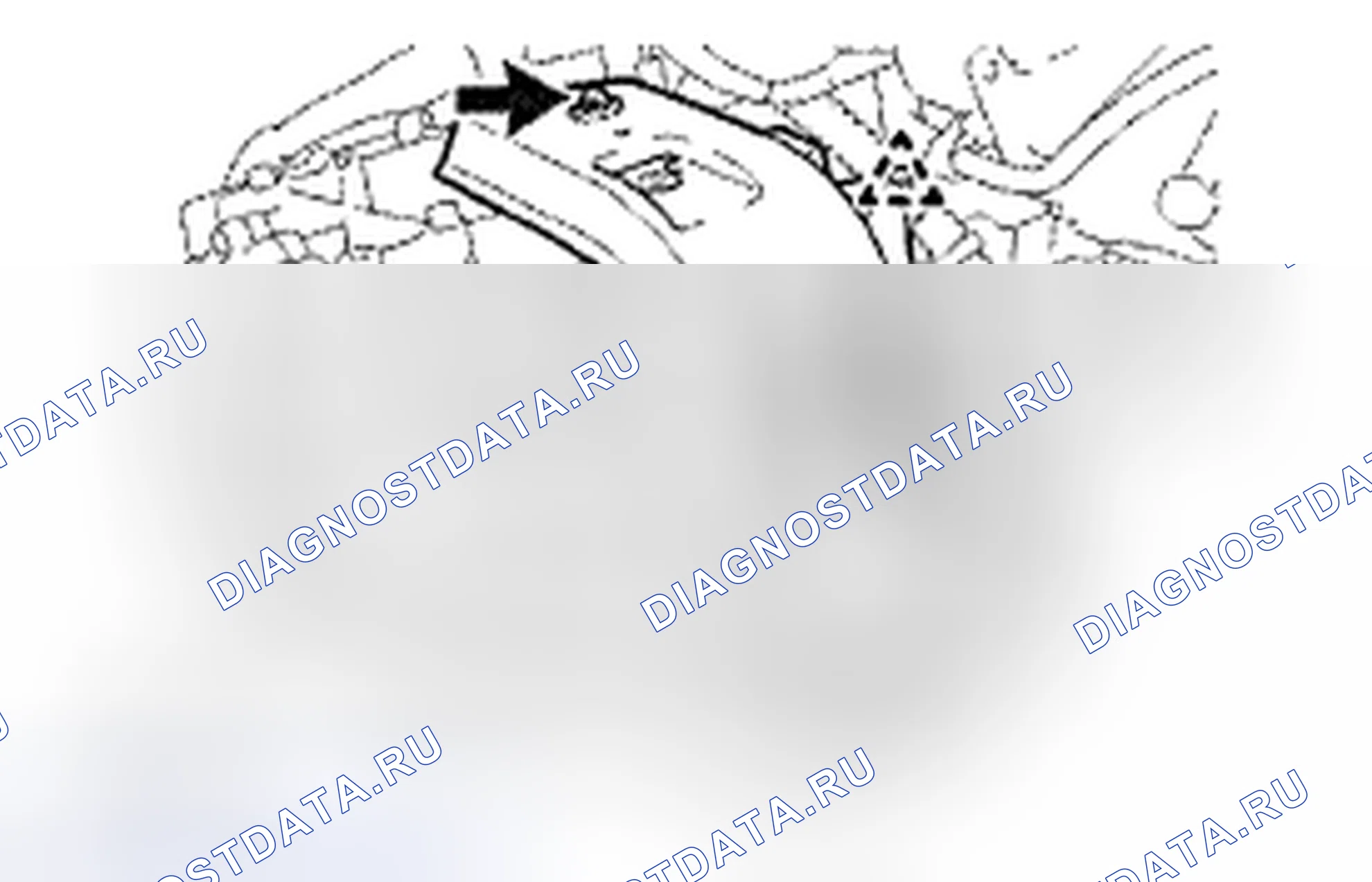 Рис. 594. Toyota Camry XV40