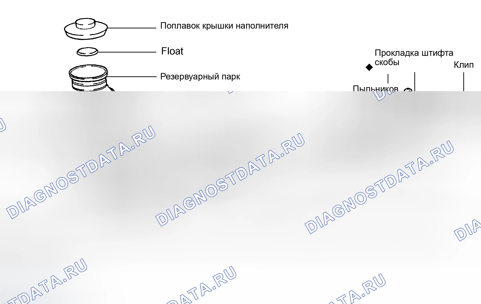 Рис. 1: ОБЩИЕ СВЕДЕНИЯ. Toyota Camry XV30