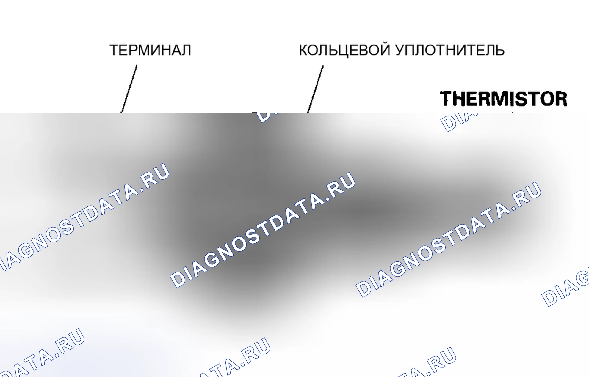 Рис. 59: Датчик температуры охлаждающей жидкости двигателя (температура охлаждающей жидкости). Acura RSX I