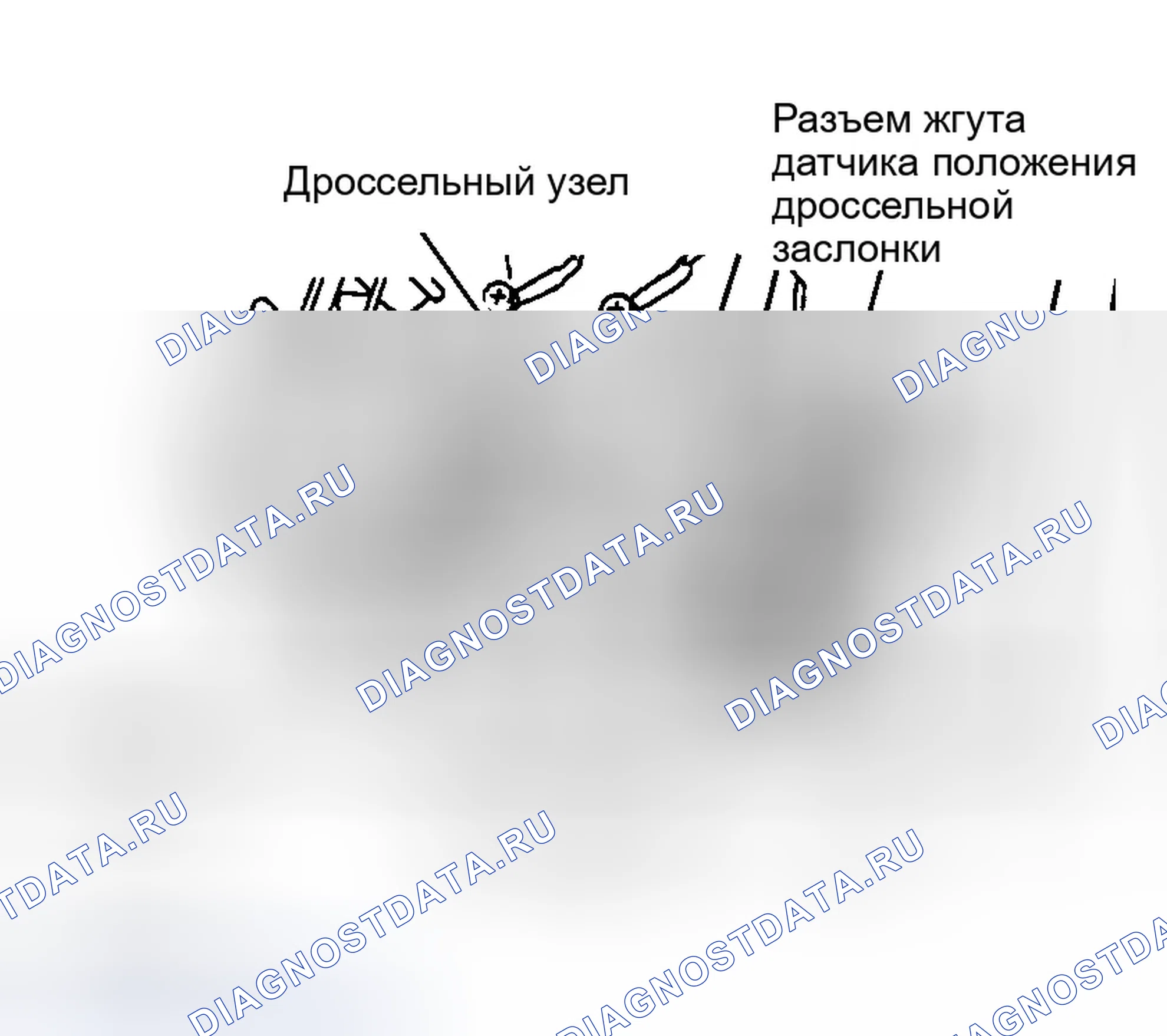 Рис. 16. Infiniti G20 II