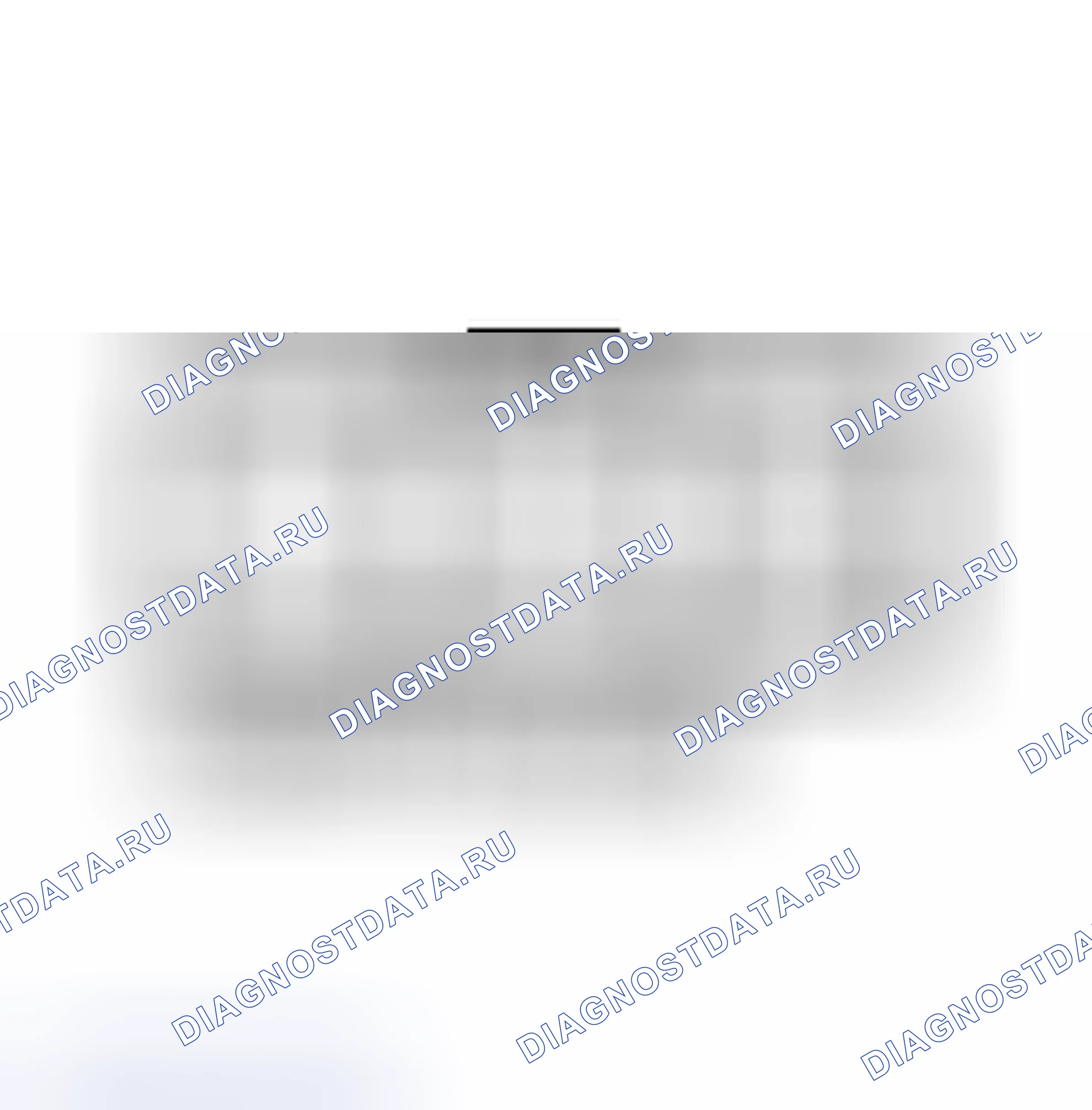 Рис. 1. Subaru Outback BH