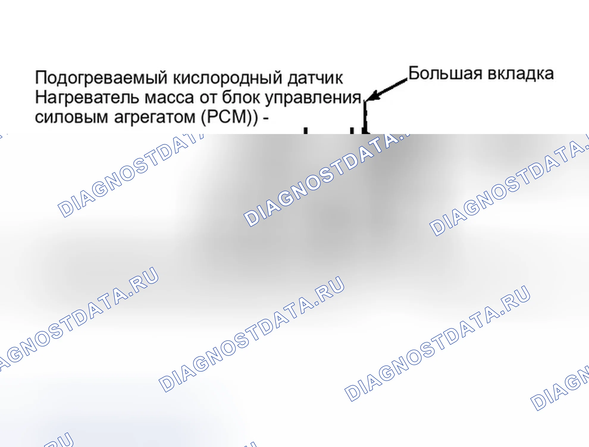 Рис. 20: Идентификация клемм разъема подогреваемый кислородный датчик. Ford Mustang IV