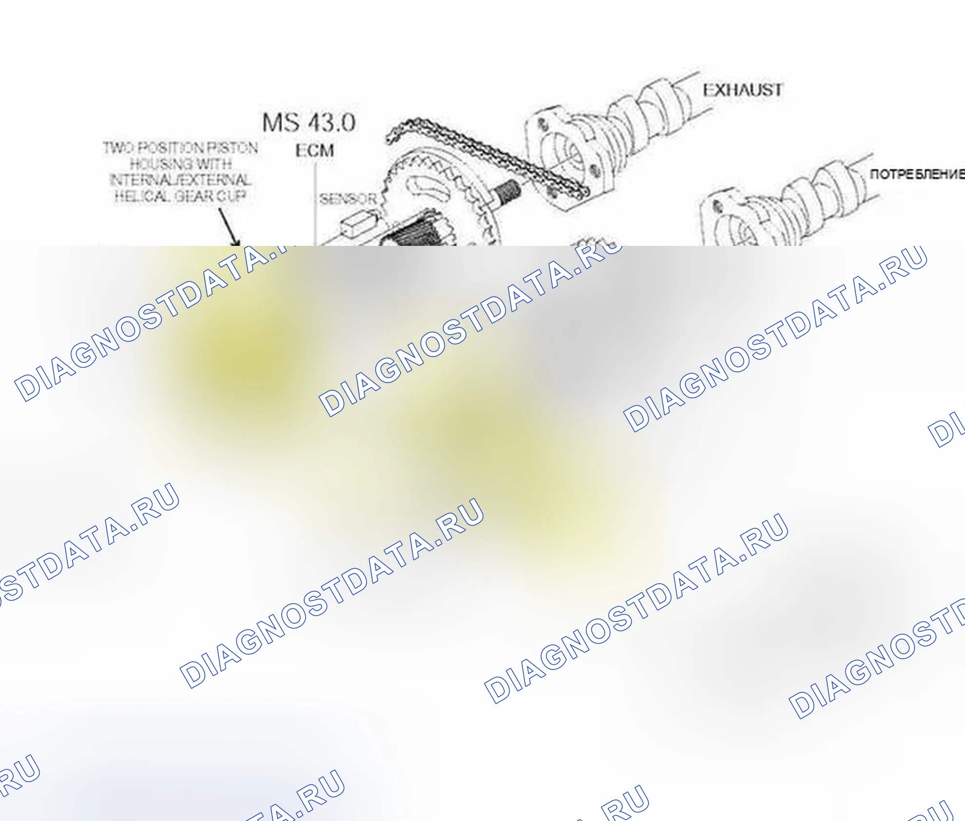 Рис. 543: Идентификация деактивированной диаграммы. BMW X5 E53
