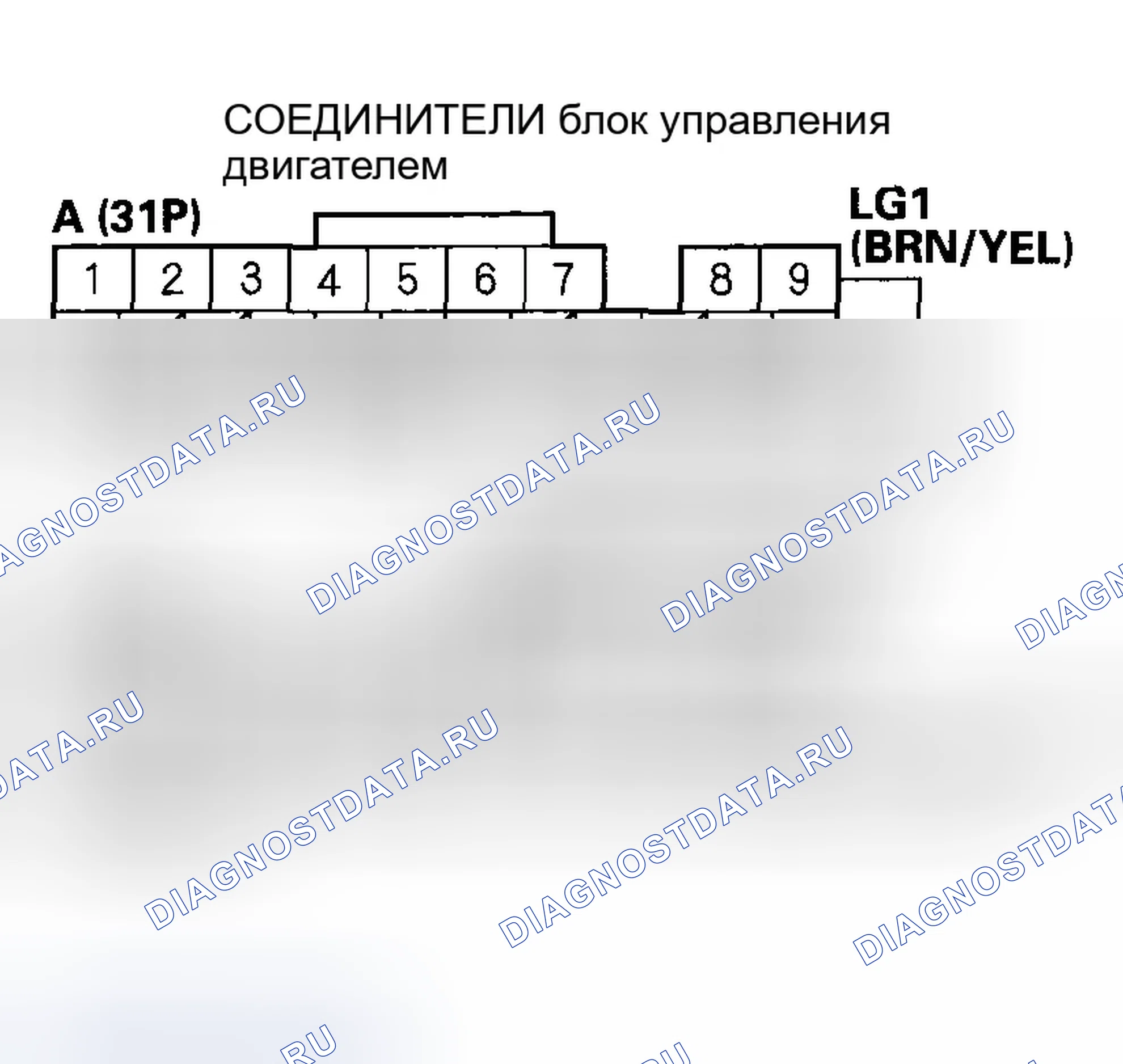 Рис. 139. Honda S2000 AP2 рестайлинг