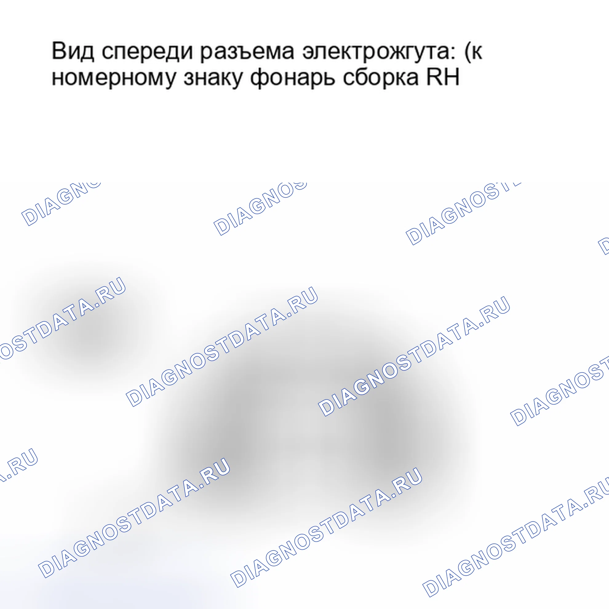 Рис. 231. Lexus IS F I