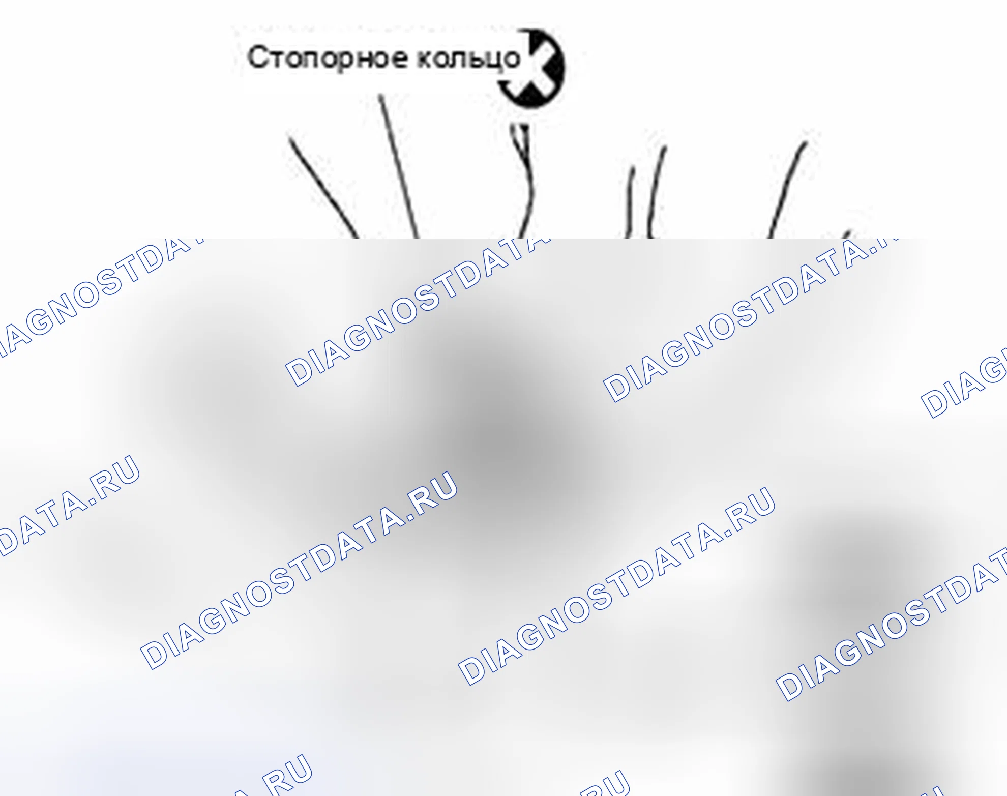 Рис. 188: СБОРКА. Suzuki Equator I