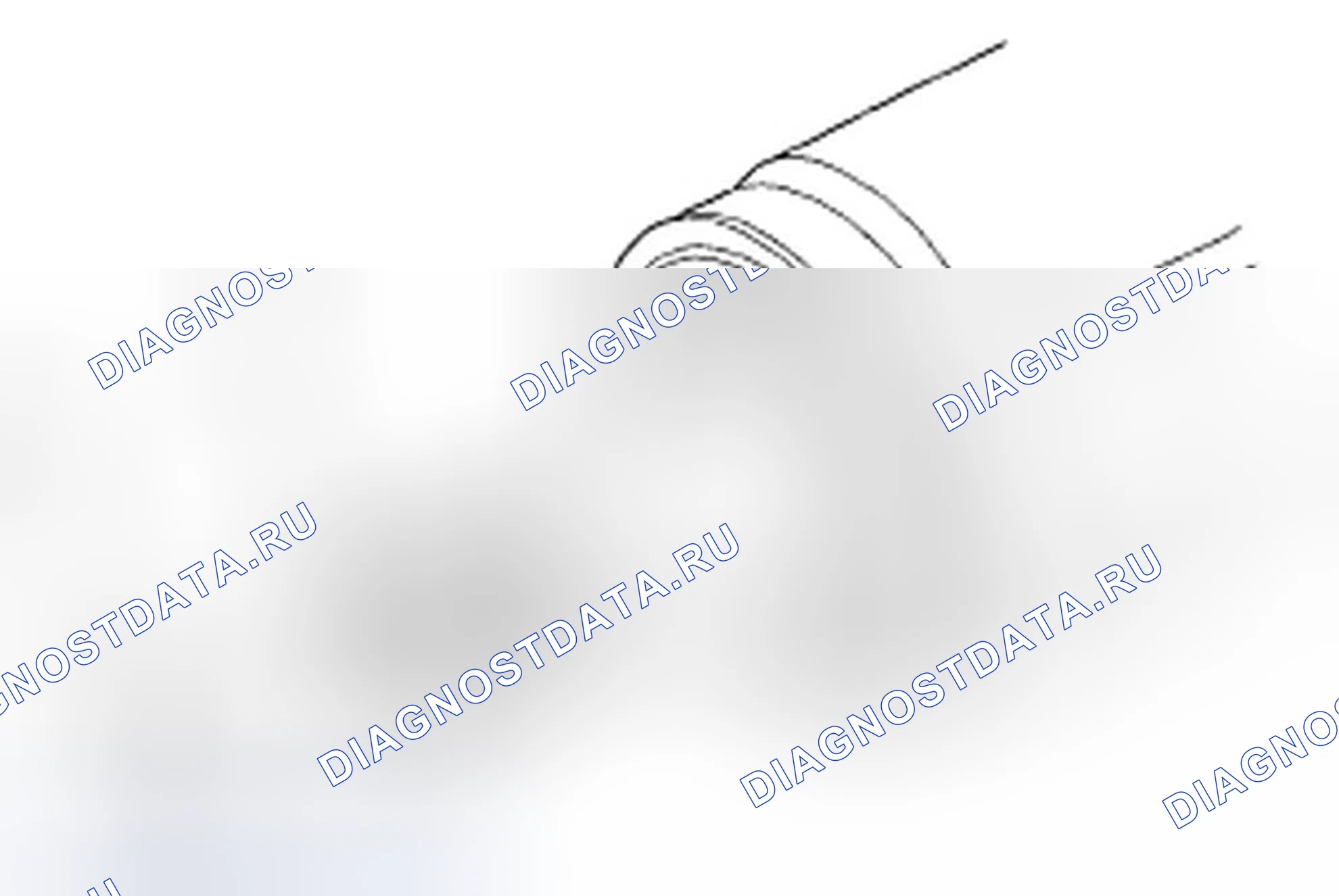 Рис. 11. Honda Element YH2 рестайлинг 2