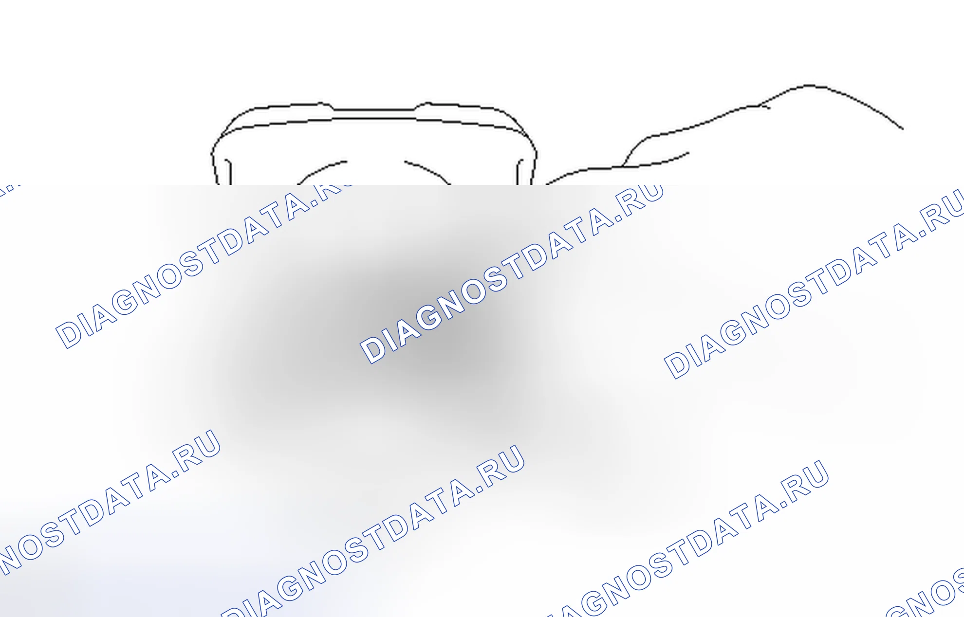 Рис. 120. Lexus HS I