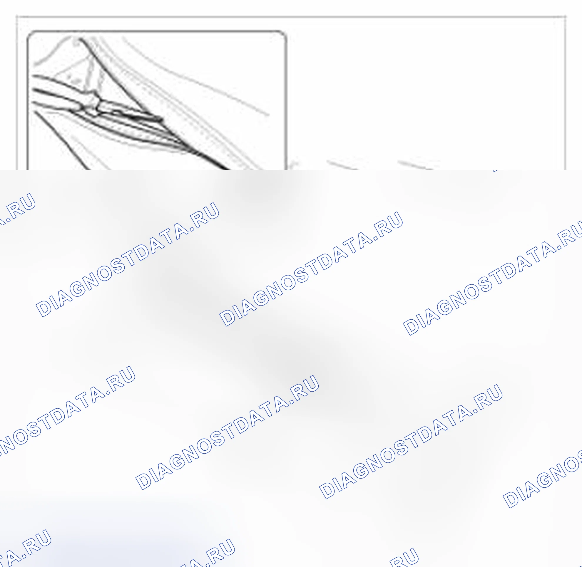 Рис. 70. BMW 6 серия F06/F13/F12