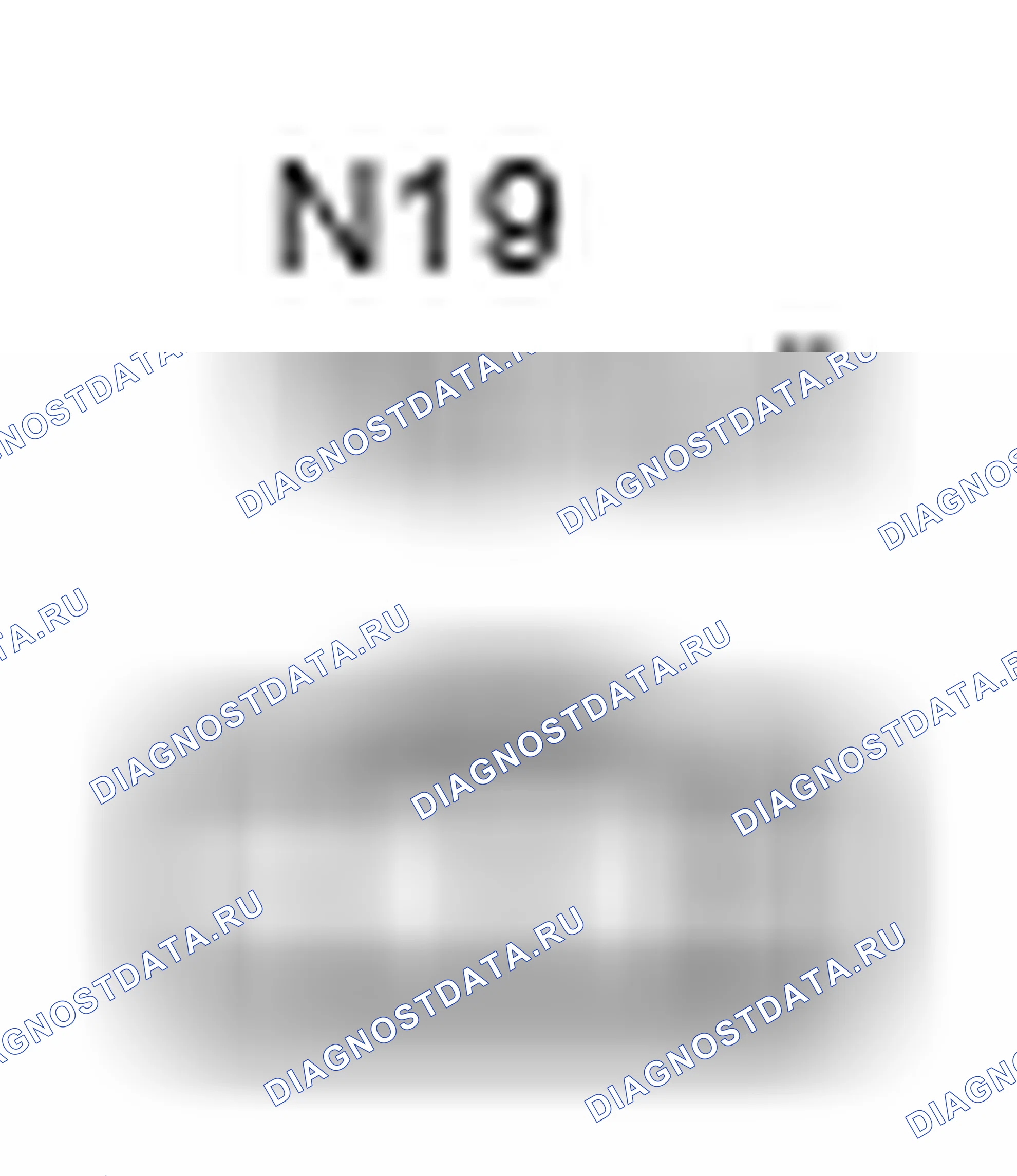 Рис. 1283: Вид с торца разъема обогрев стекла заднего окна (N19). Toyota Camry XV40