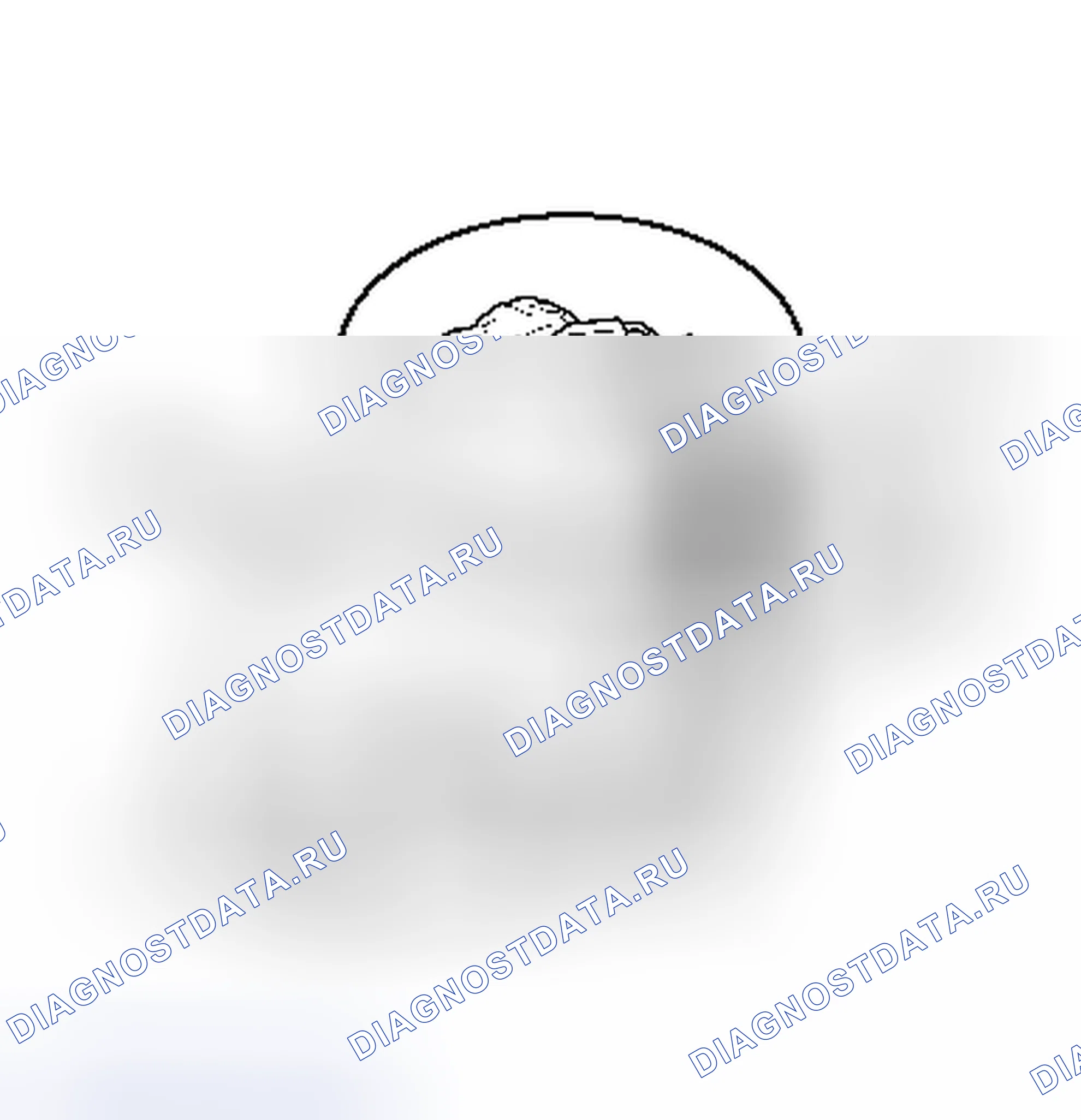 Рис. 94. Hyundai Tiburon II